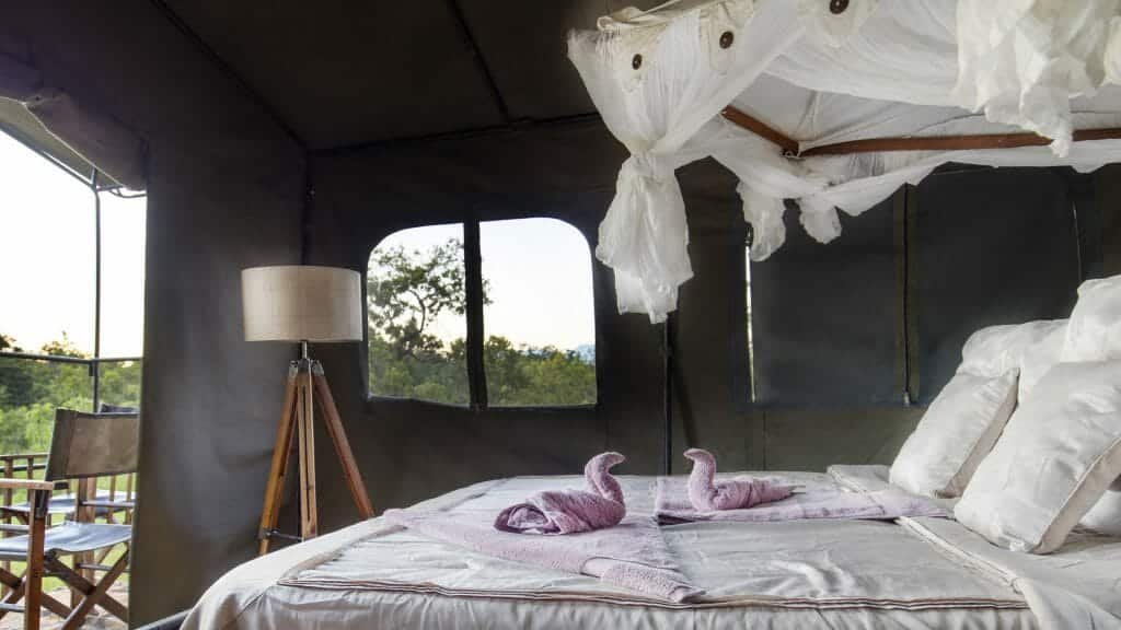 Tanzania_BushRover_017.jpg