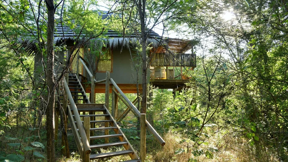 Chobe accommodation — image 5