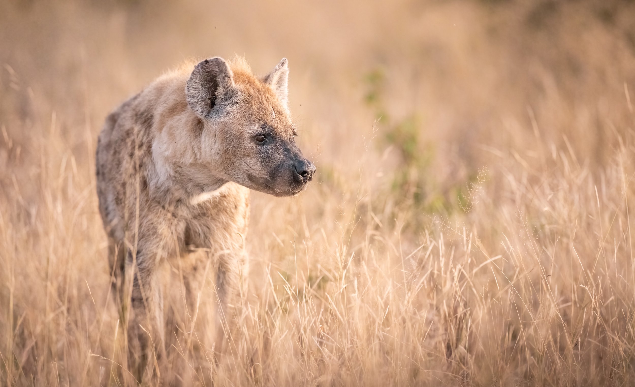 SouthAfrica_FollowMeNorth34.jpg