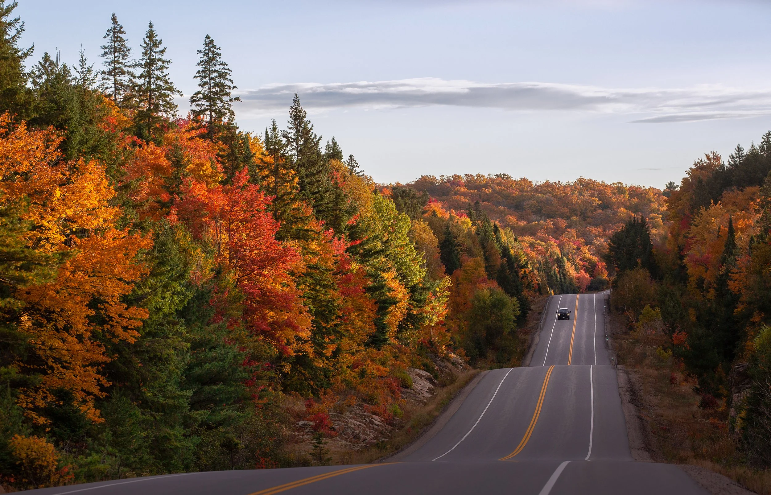 fall-landscape-algonquin-park-highway60-followmenorth.jpg