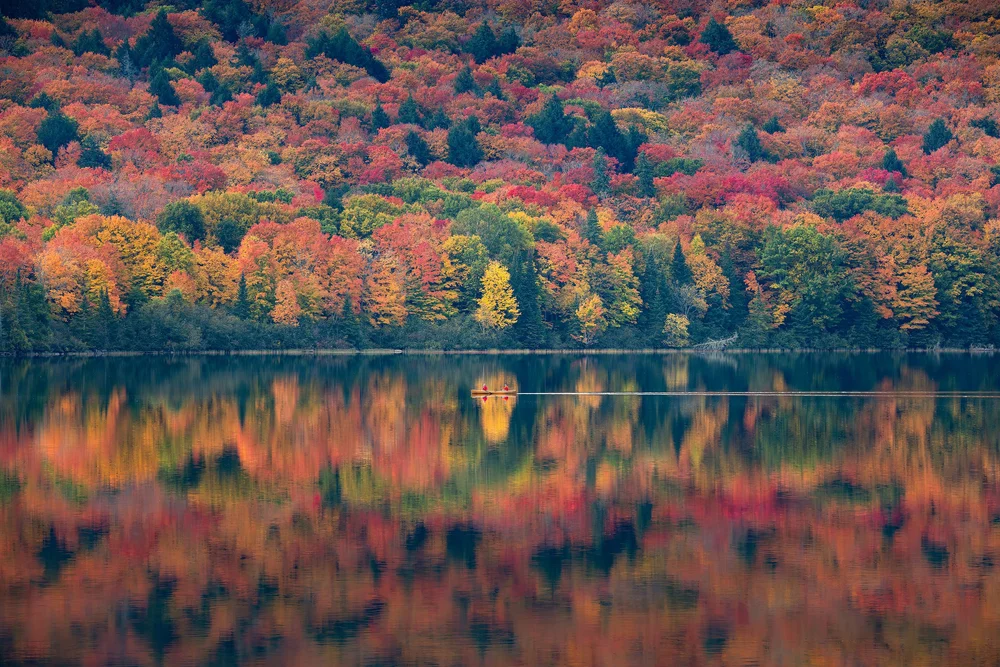 Two paddlers in a canoe surrounded by fall colours in Algonquin Park