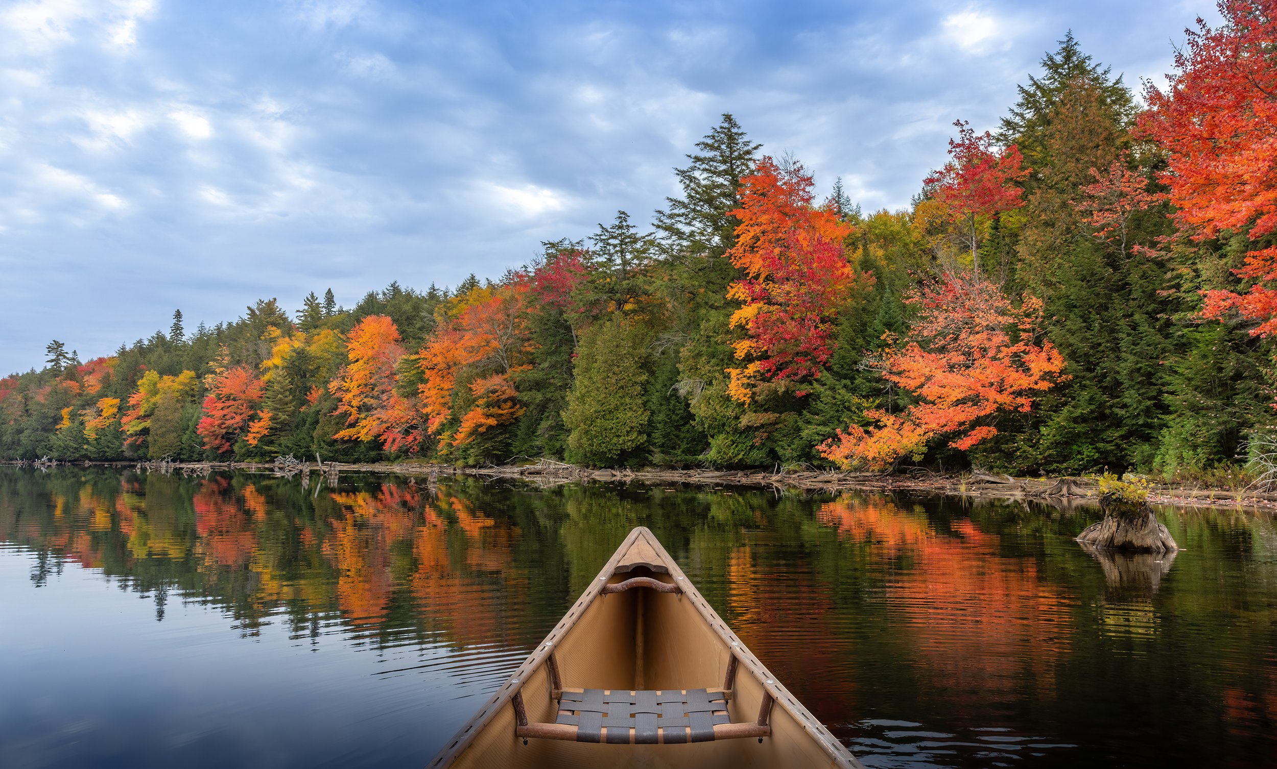 fall-landscape-algonquin-park-canoe-followmenorth.jpg