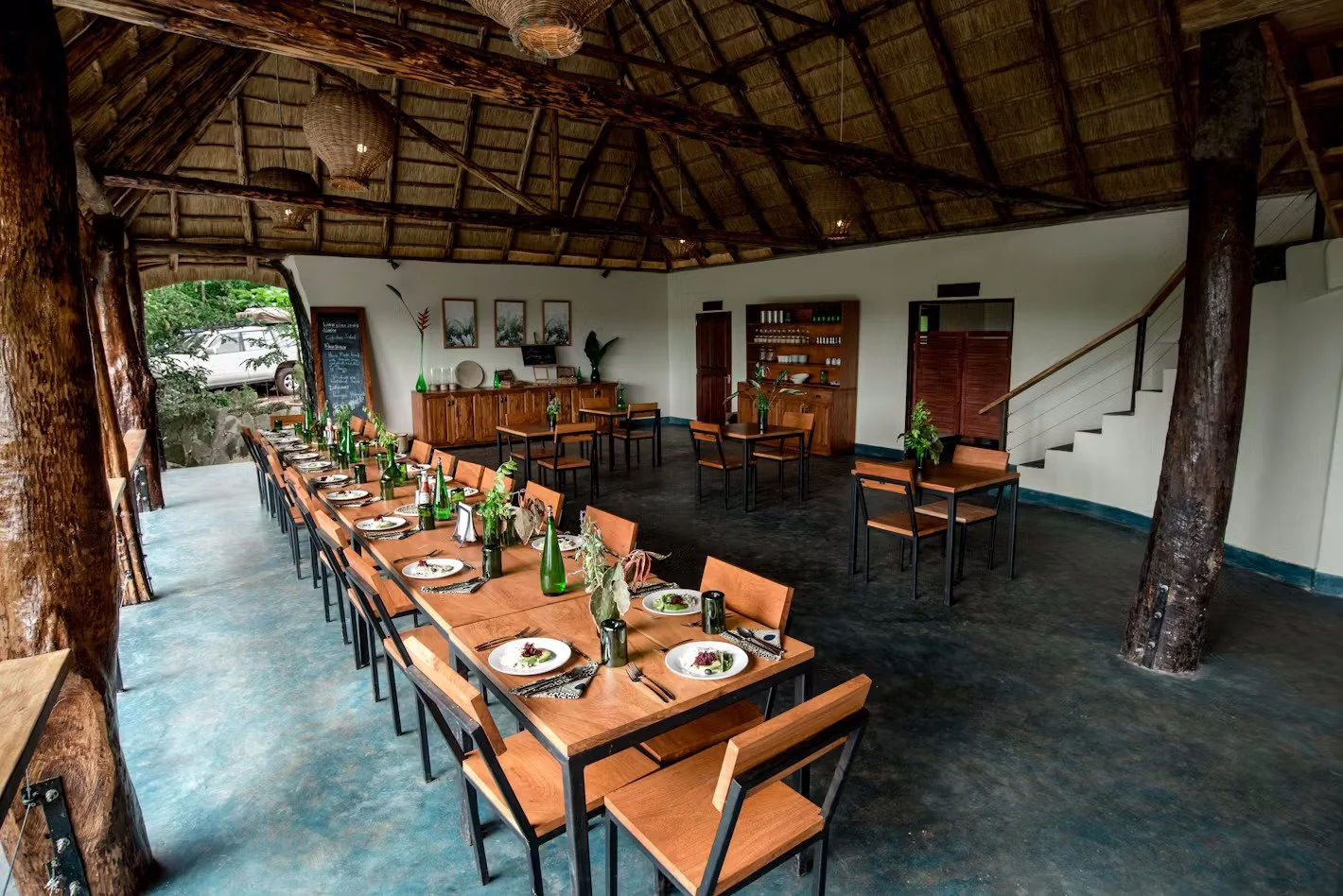 Turaco Treetops_17.jpeg