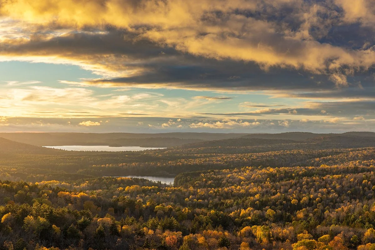 fall-landscape-algonquin-park-aerial-followmenorth.jpg