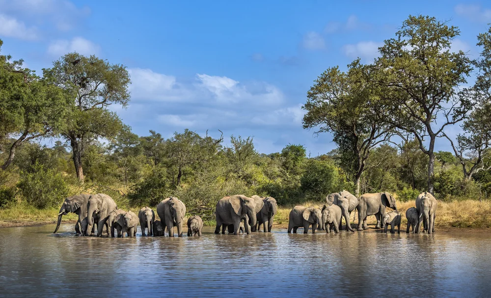 Wildlife photography highlights — image 1