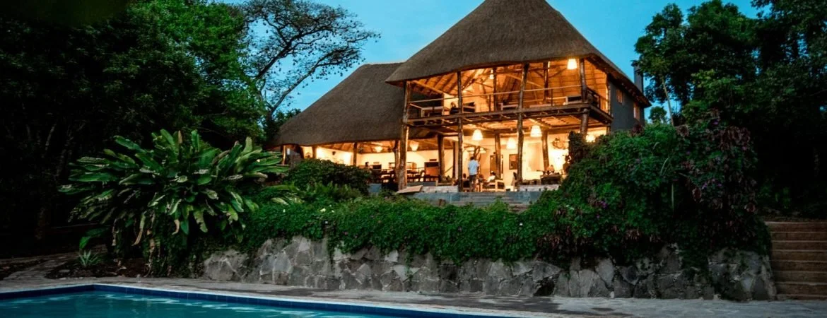 Turaco Treetops_01.jpg