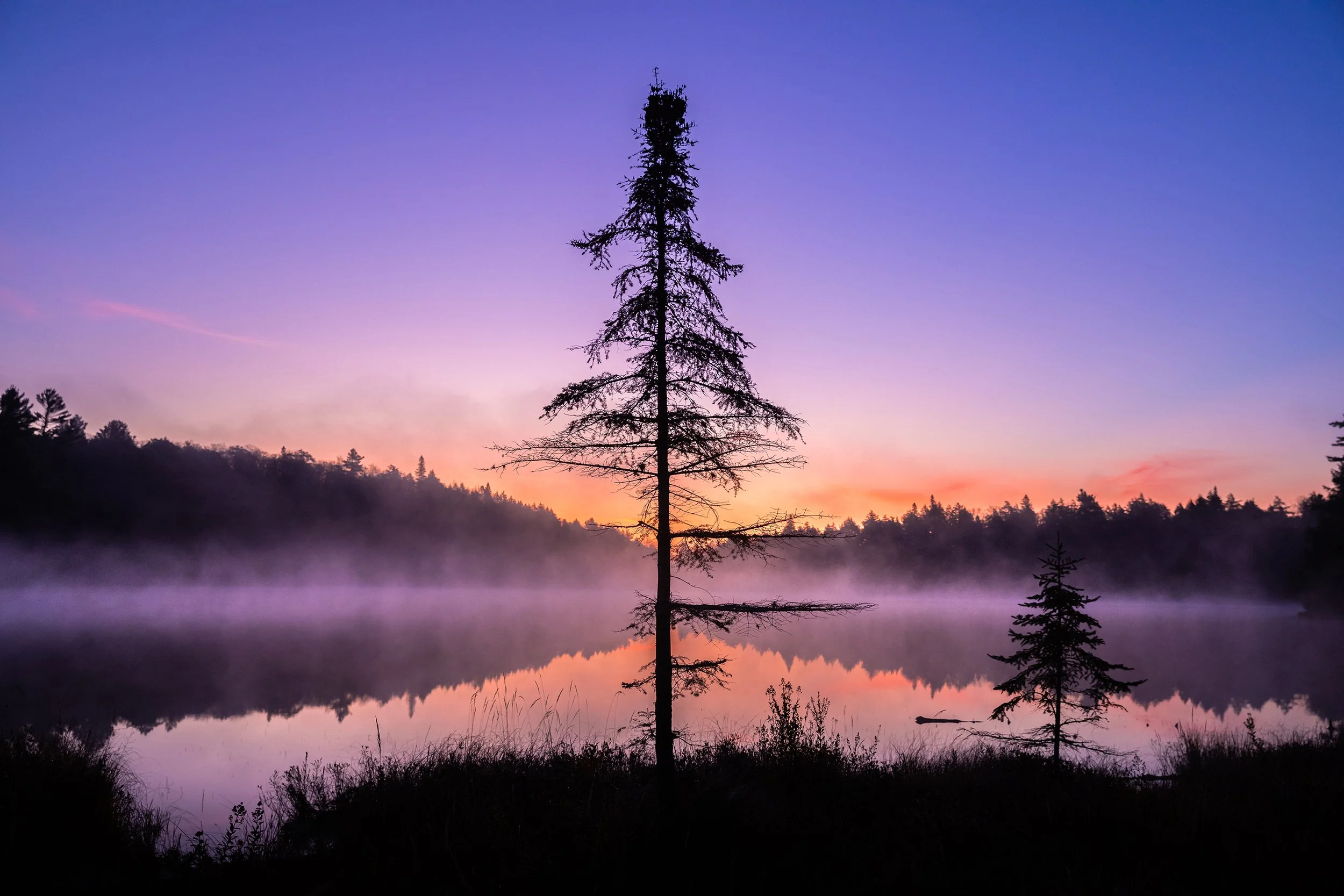summer-landscape-algonquin-park-followmenorth.jpg