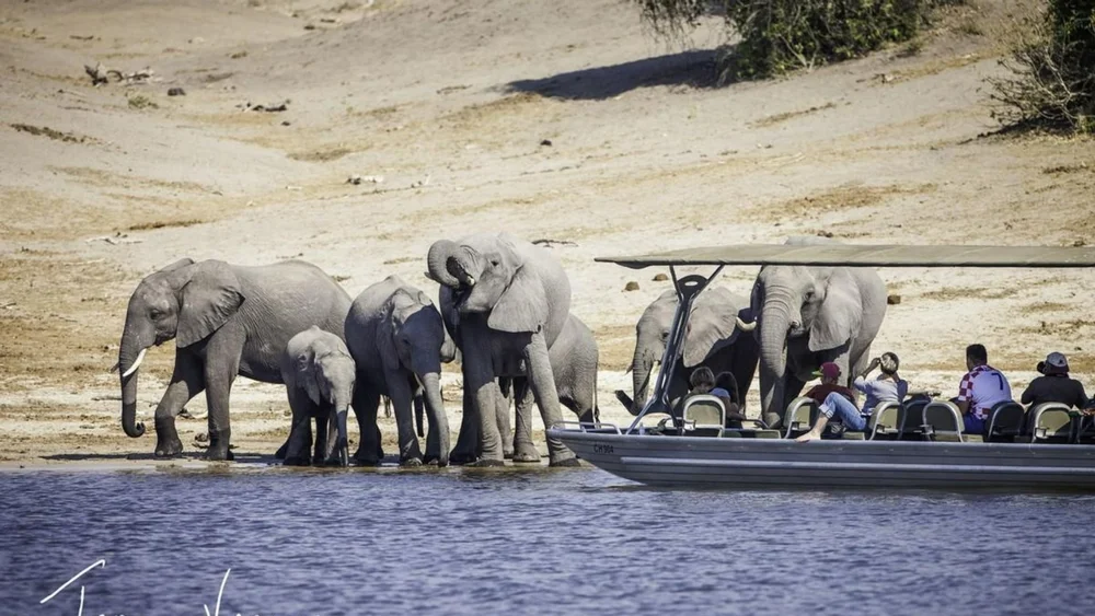 Chobe accommodation — image 16