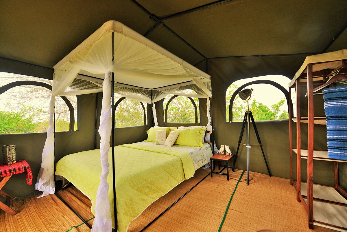 Tanzania_BushRover_021.jpg
