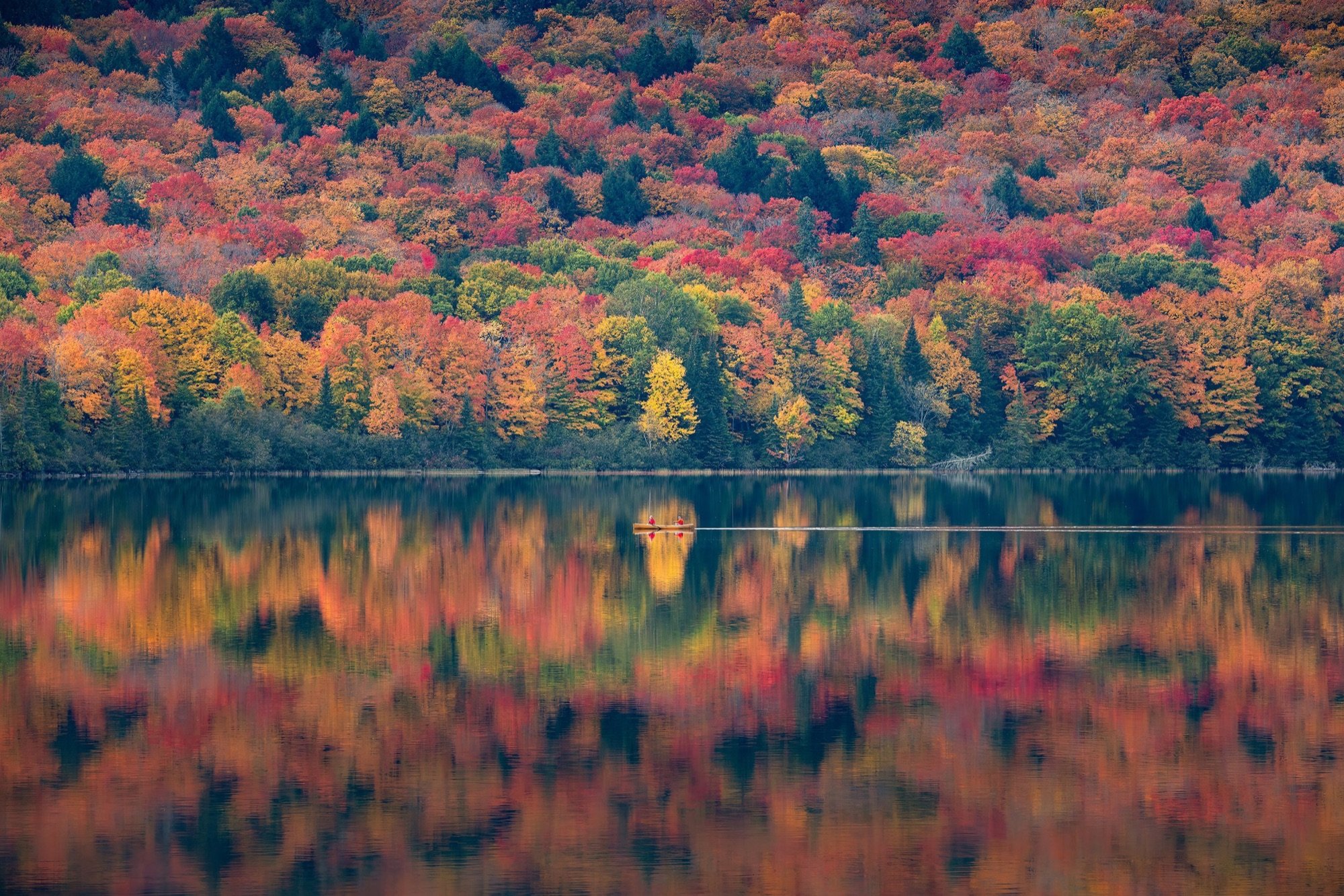 09 Two paddlers in a canoe surrounded by fall colours in Algonquin Park.jpg
