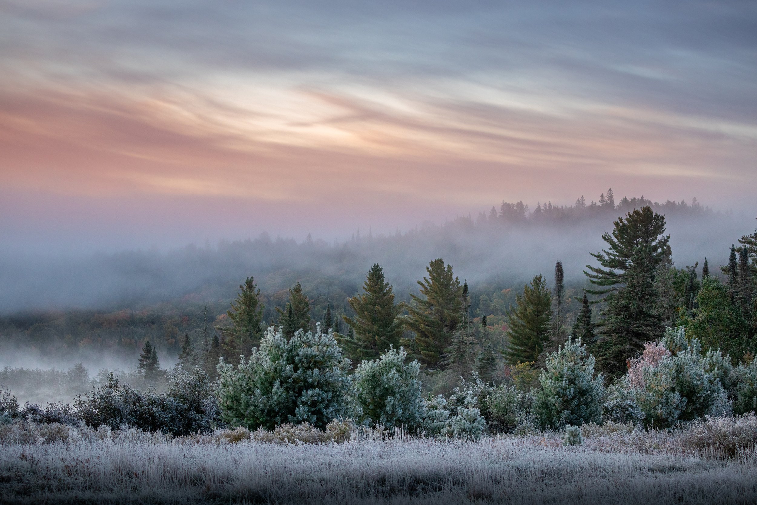 winter-landscape-mist-algonquin-park-followmenorth.jpg