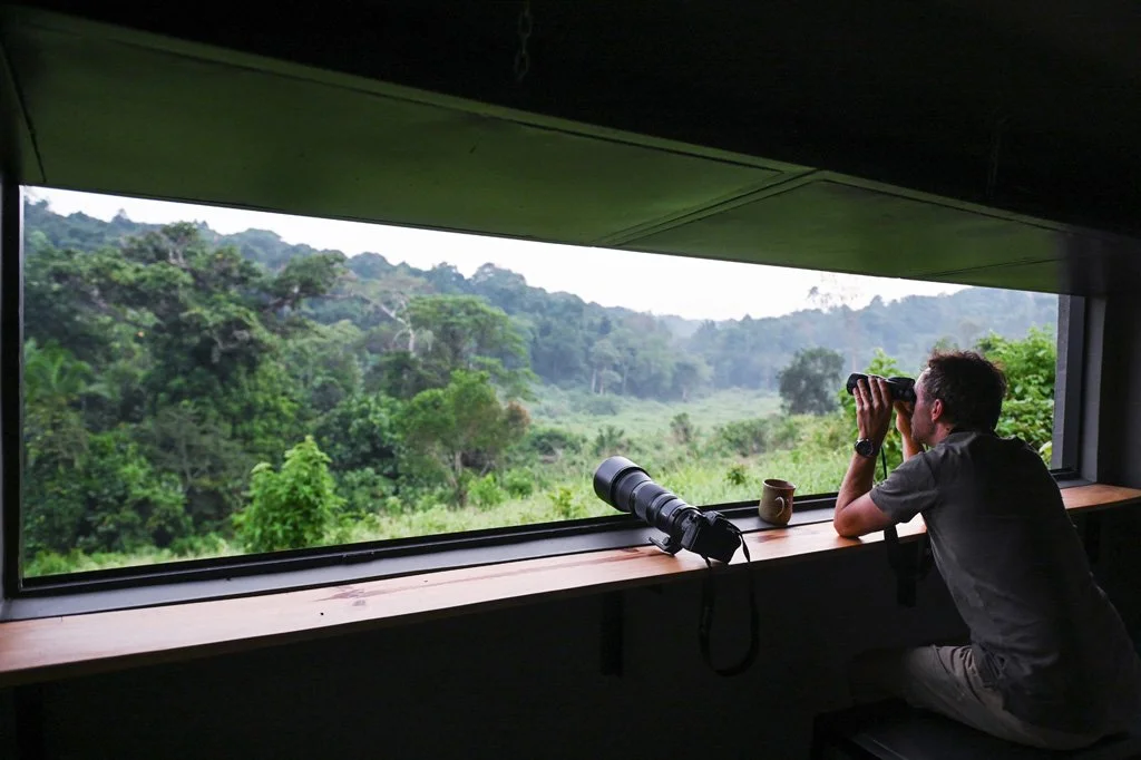 Turaco Treetops_11.jpg