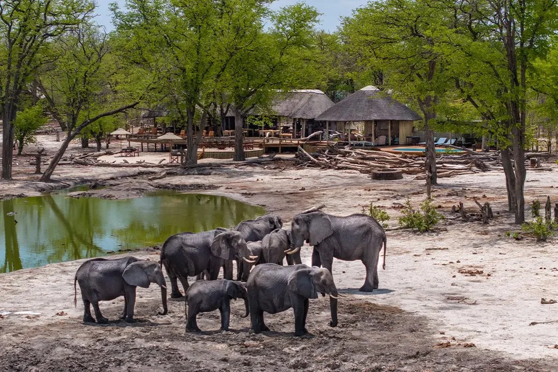 Our safari accommodation in Khwai Private Reserve