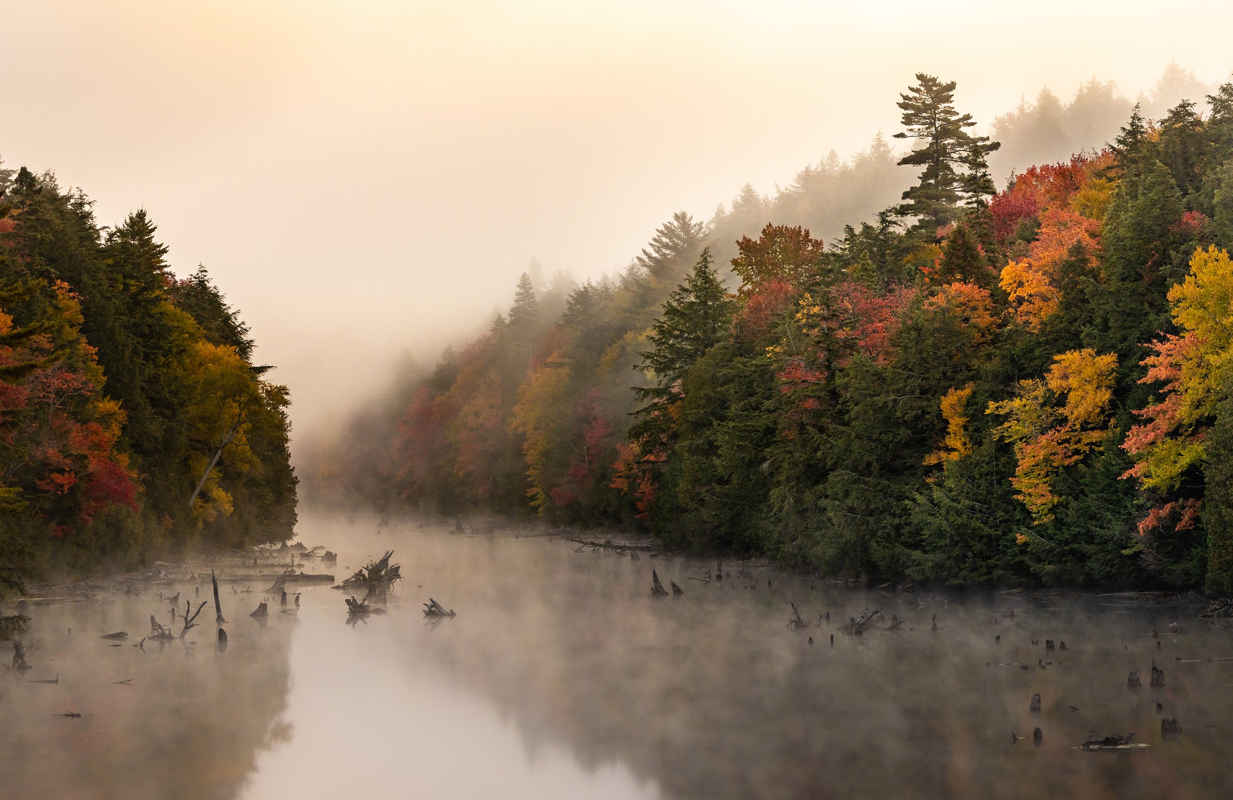 fall-landscape-algonquinpark-followmenorth.jpg