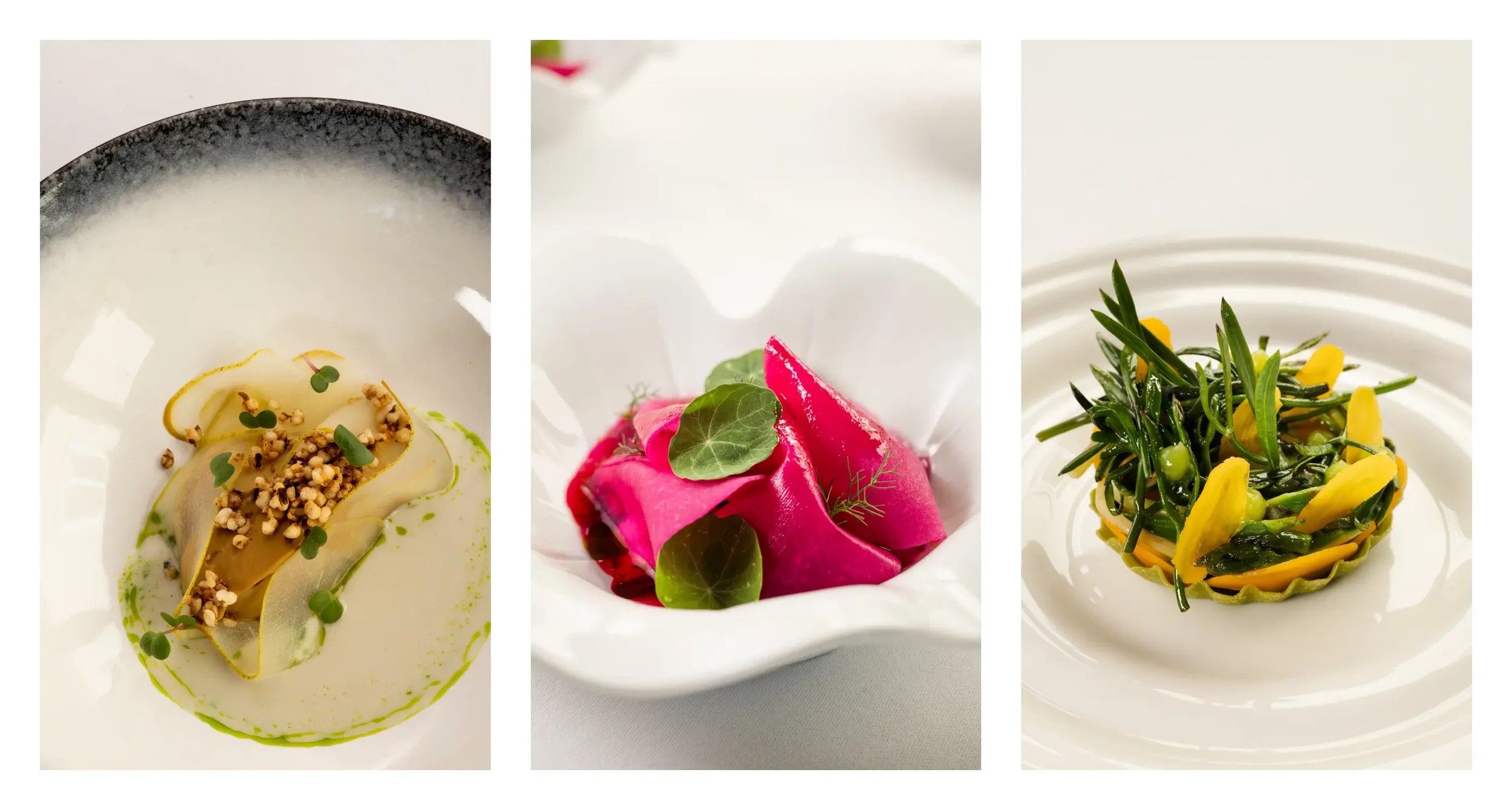 LD Vege tasting menu