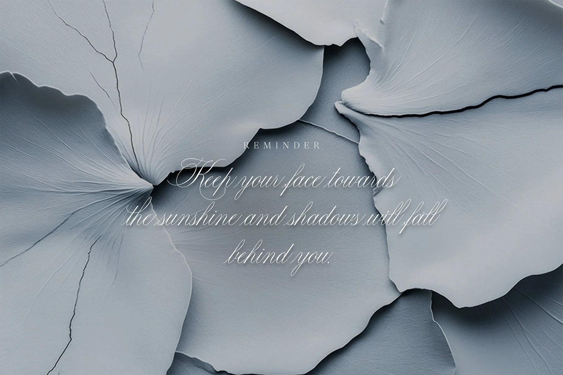 Quote - Used.jpg