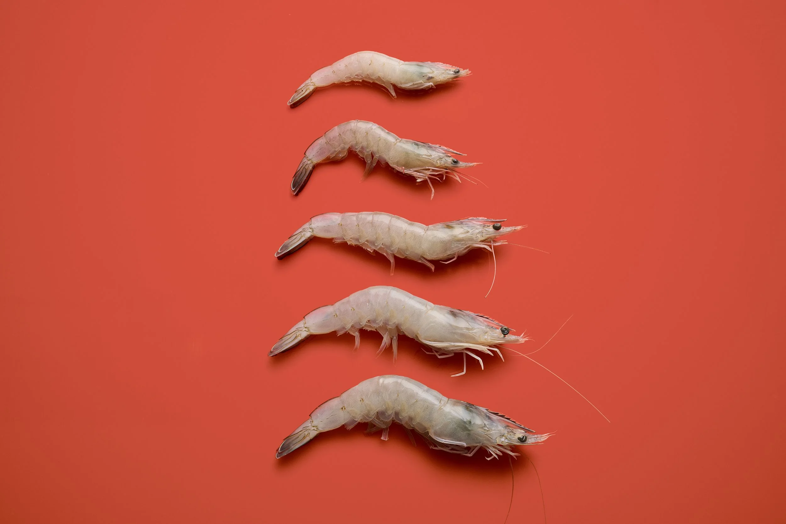 LuckyShrimps_2025_07_10_Packshots16078 1.jpg