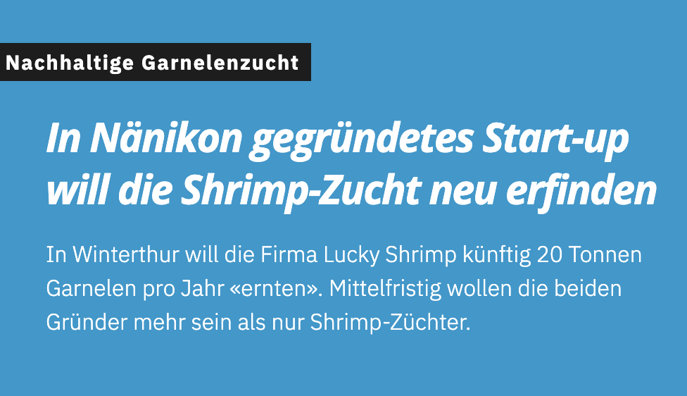 Text auf dem Bild beschreibt ein Start-up in Nänikon, das die Shrimp-Zucht neu erfinden will. Das Unternehmen „Lucky Shrimp“ plant, 20 Tonnen Garnelen pro Jahr zu produzieren, mit dem Ziel, über die bloße Zucht hinauszuwachsen. Titel: Nachhaltige Garnelenzucht.