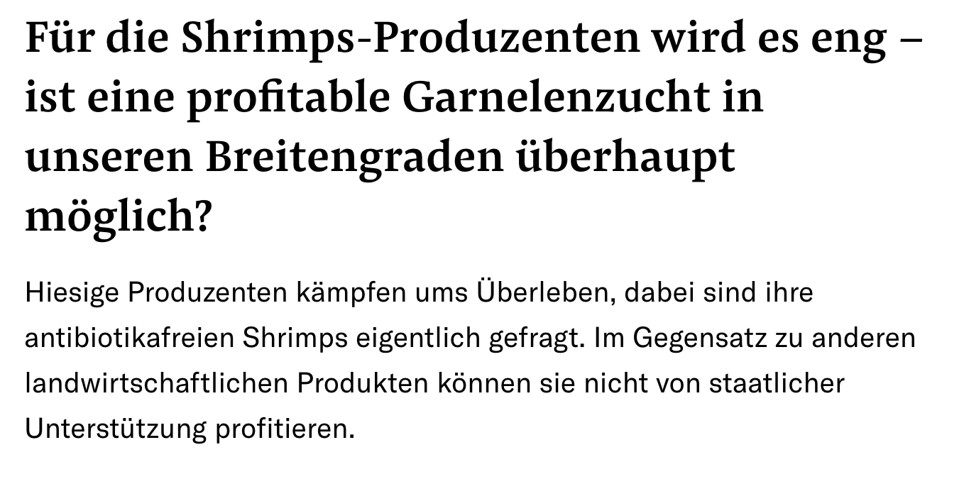 Artikelüberschrift über die Schwierigkeiten von Shrimps-Produzenten in kälteren Breiten. Der Text fragt, ob profitable Garnelenzucht in diesen Breiten möglich ist, trotz Nachfrage nach antibiotikafreien Shrimps. Hiesige Produzenten haben keine staatliche Unterstützung im Gegensatz zu anderen landwirtschaftlichen Produkten.