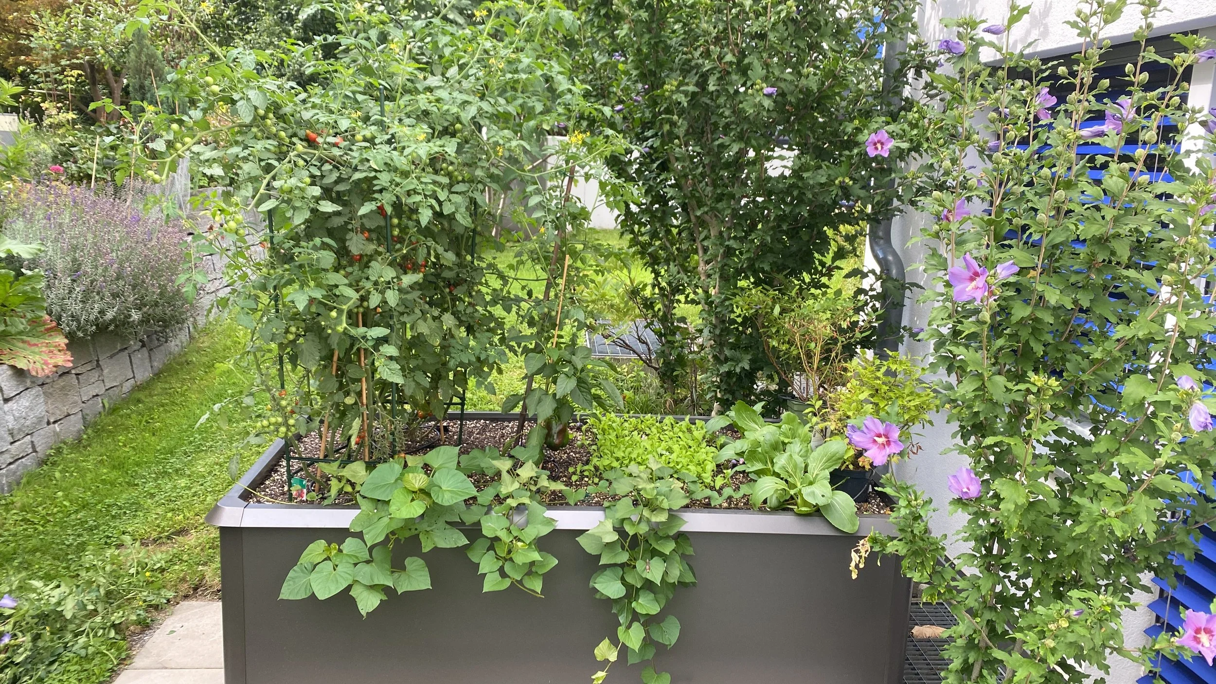 biohort hoochbeet quarz metallic