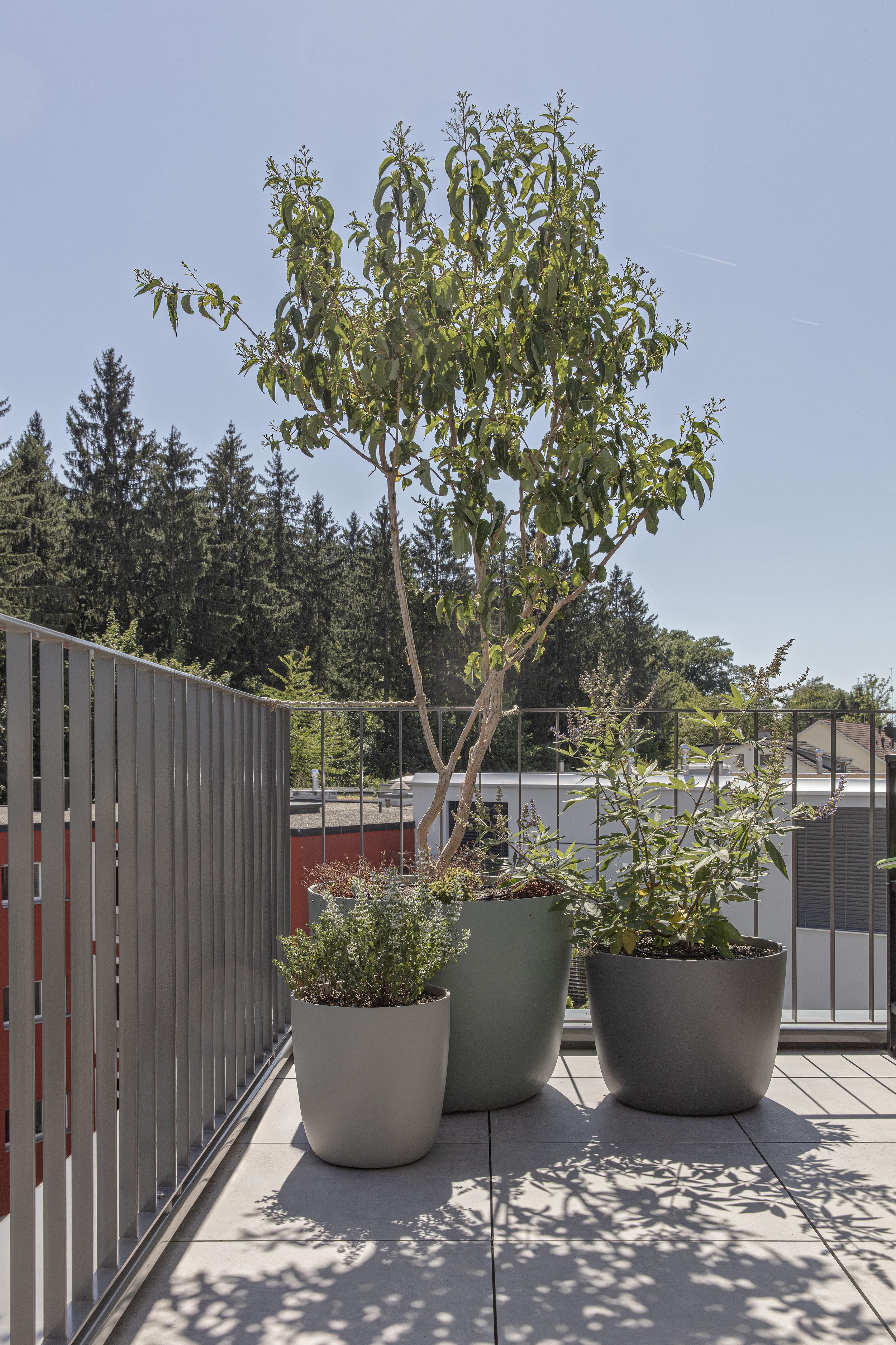 Green Living Space_©R&D Dürr_20.jpg