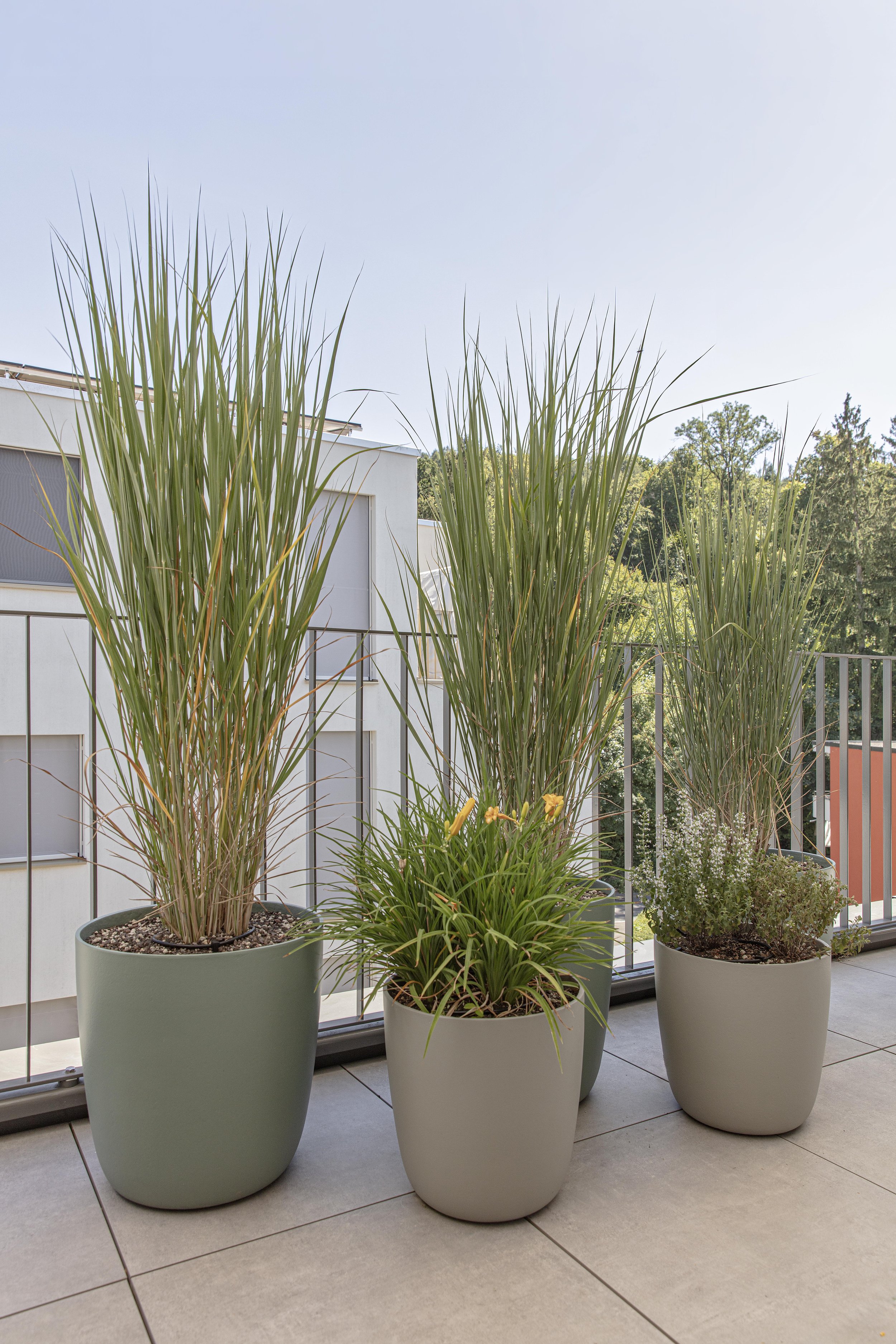 Green Living Space_©R&D Dürr_19.jpg