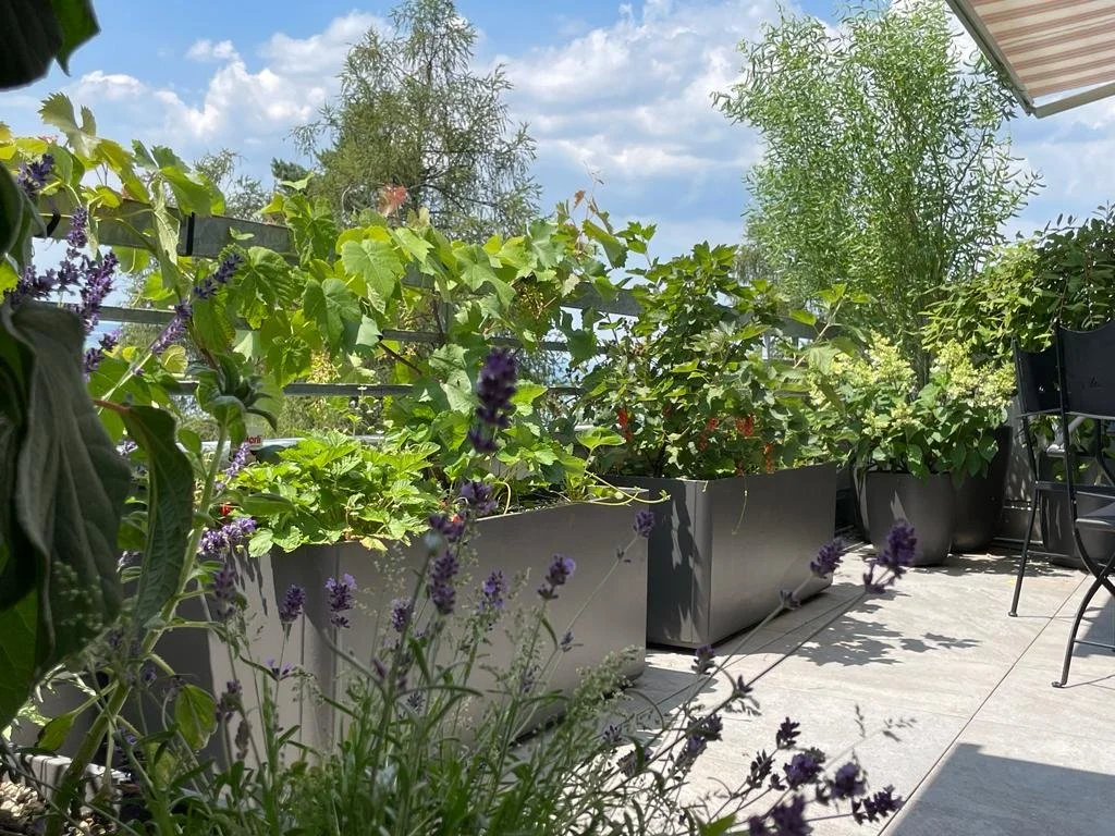 Hochbeet, Swisspearl Delta 100x60x60 