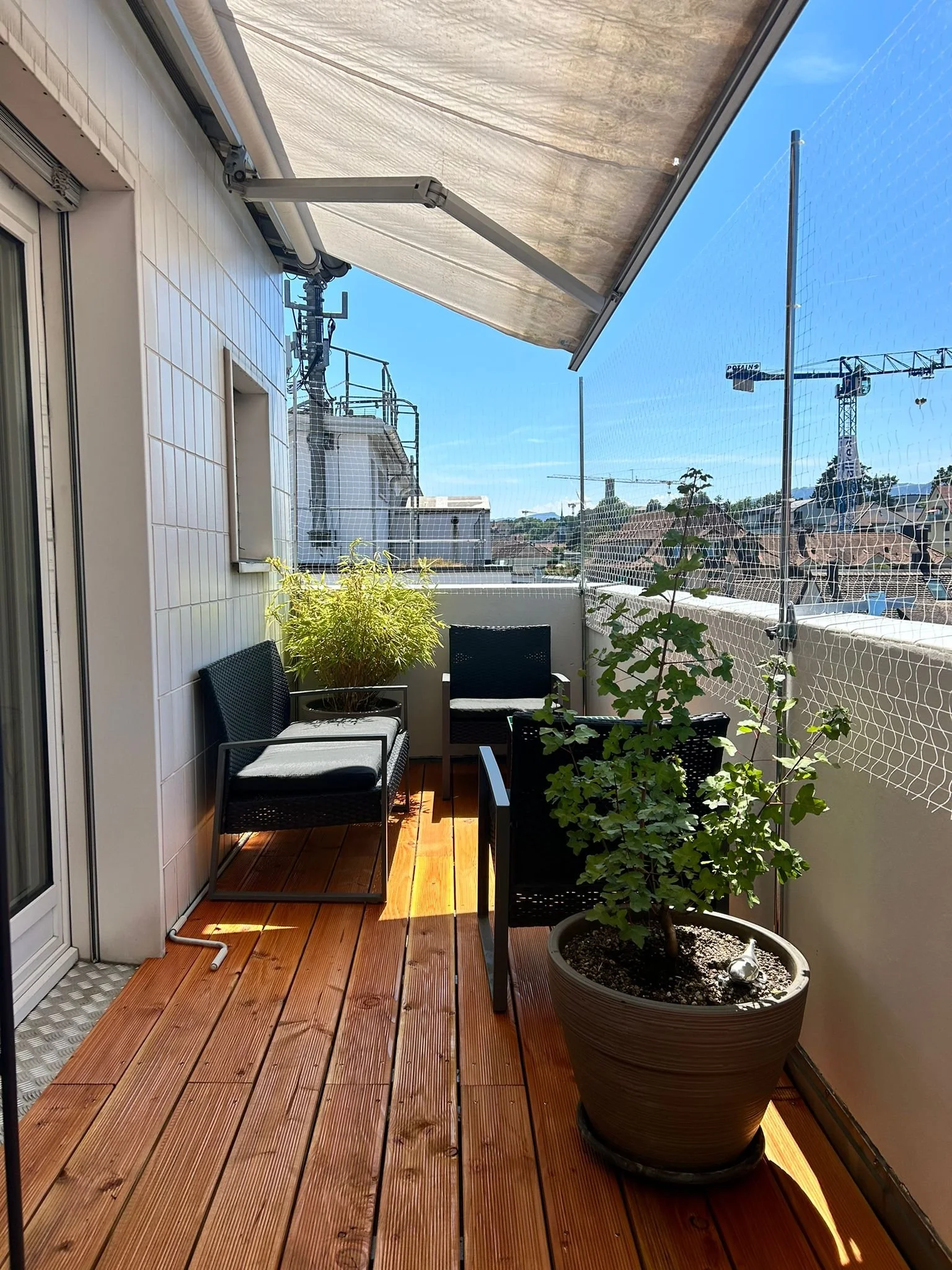 PHOTO-2024-08-11-13-41-57 2.jpg