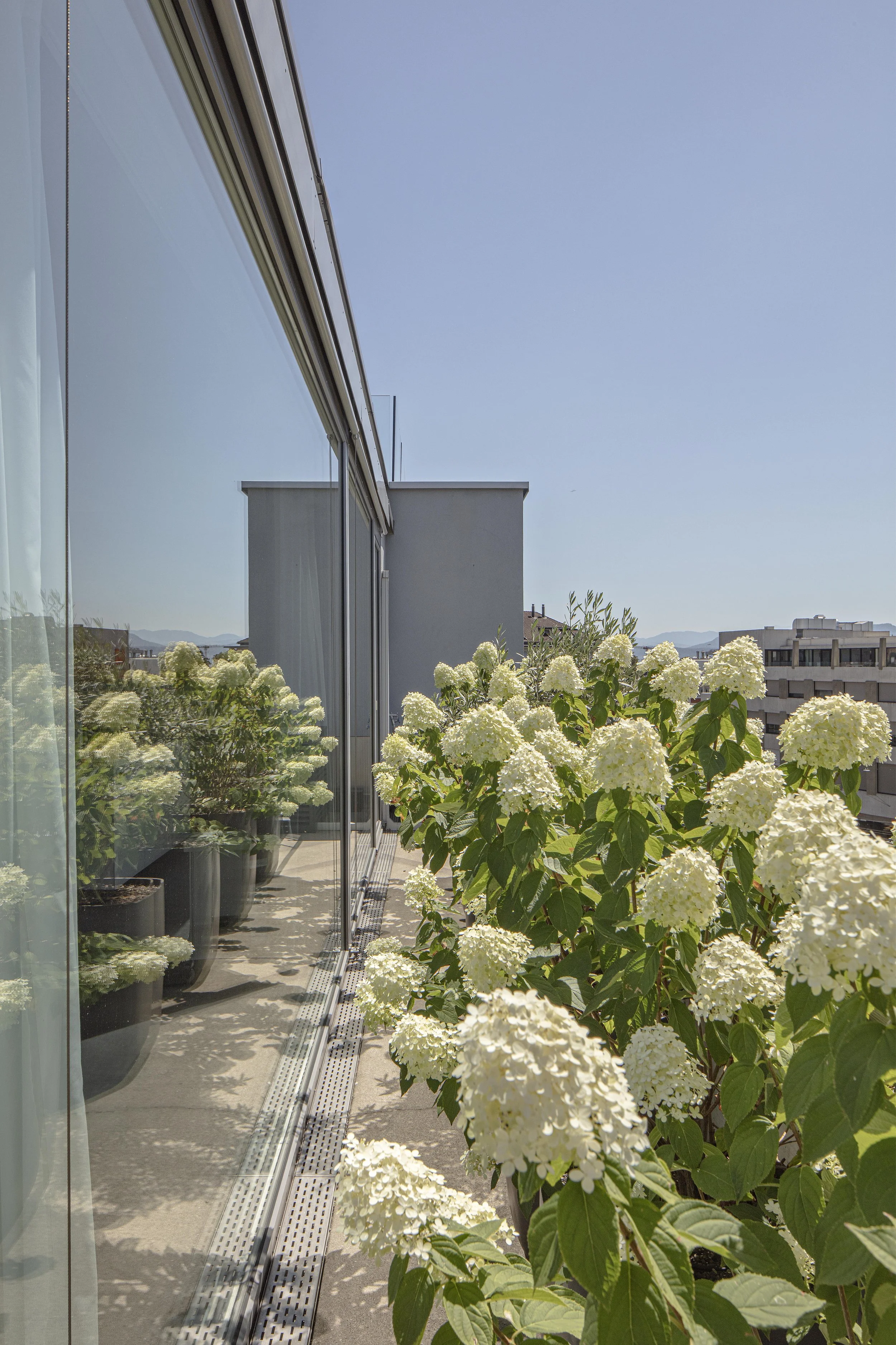 Green Living Space_©R&D Dürr_17.jpg