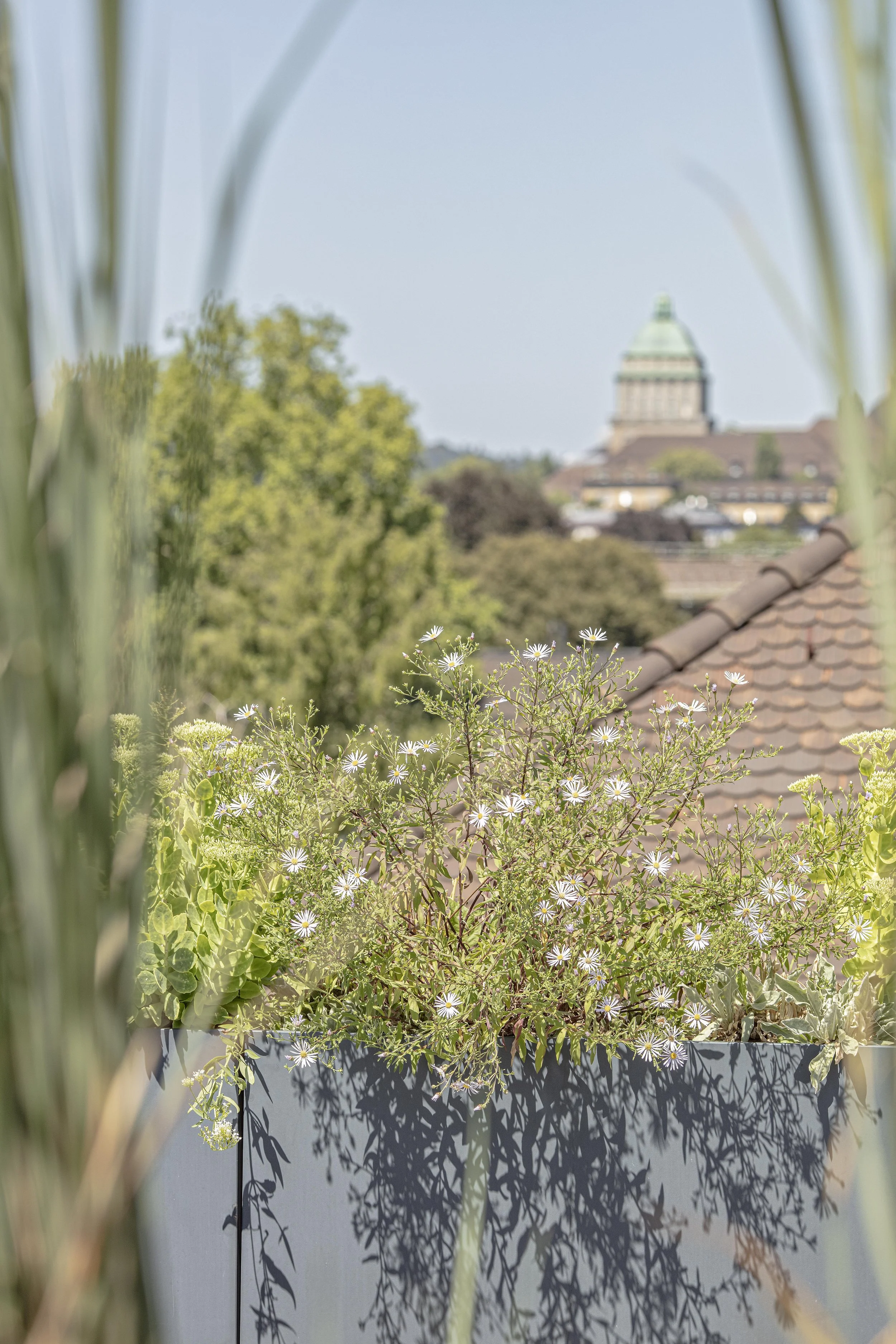 Green Living Space_©R&D Dürr_11.jpg