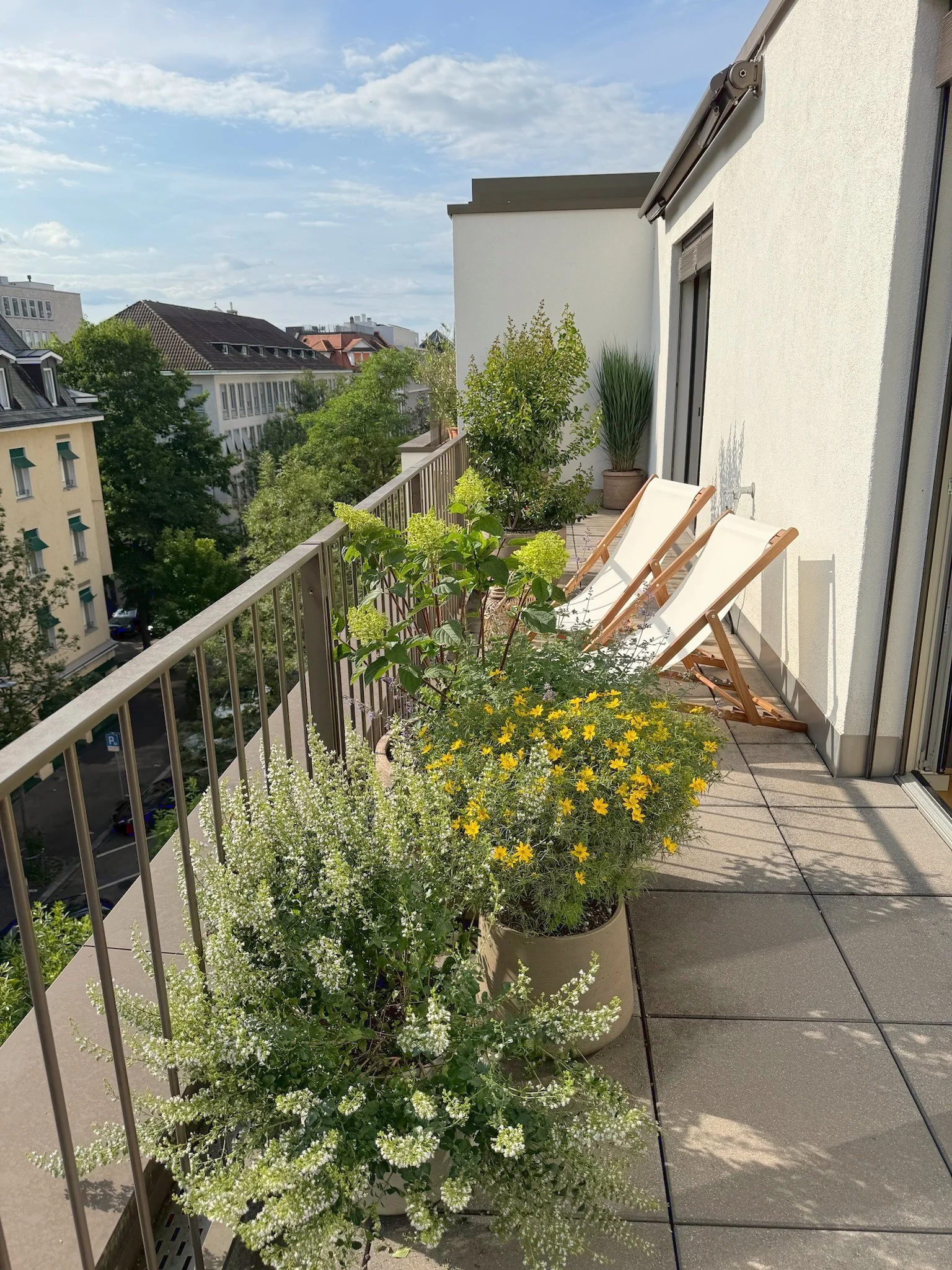 IMG_5421_Farblook_Originalaufloesung.jpg