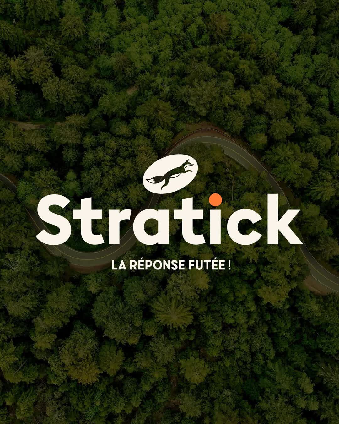 Logo, univers de marque, naming et site web pour @stratick.ch 🦊

🔎 Carmen est une jeune entrepreneure qui a d&eacute;cid&eacute; d&rsquo;ouvrir sa propre entreprise en 2021: Stratick. Elle se concentre sur les ind&eacute;pendants, en rendant les st