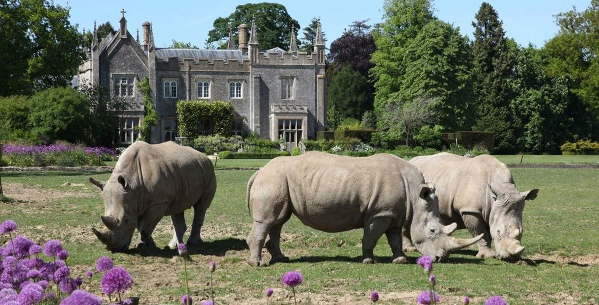 Cotswold Wildlife Park — Kings Head Hotel & Spa