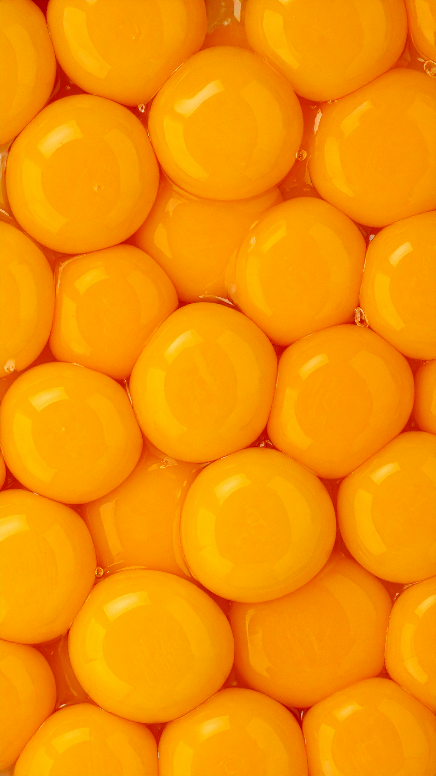 egg yolks02.png