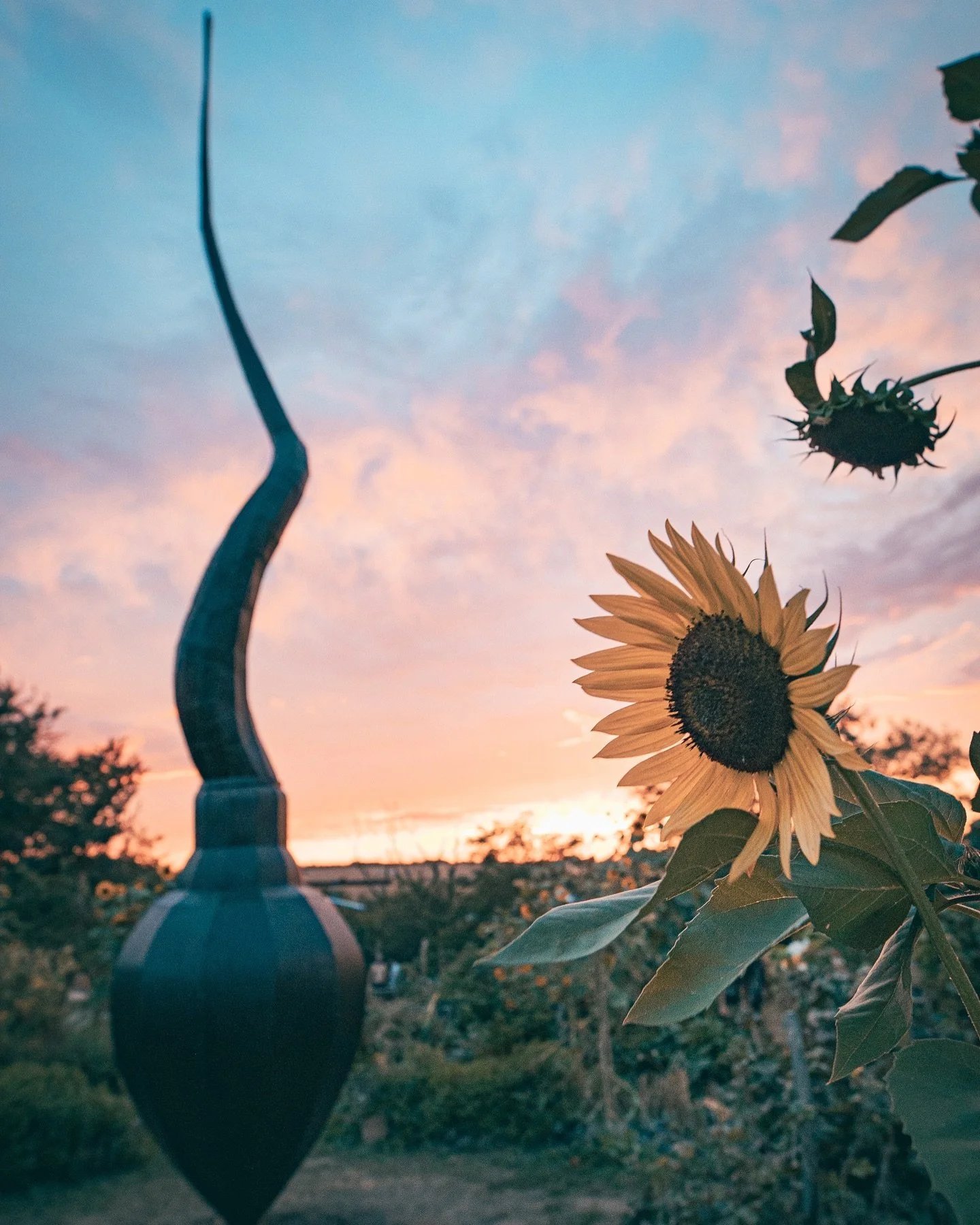 Nice collection of even nicer moments @ozorafestivalofficial .
Can&rsquo;t wait to go back and create more moments more art and more friendship.

#art #ozorafestival #sculpture #painting #sculptures #paintings #summer #festival #psychedelicart #psych