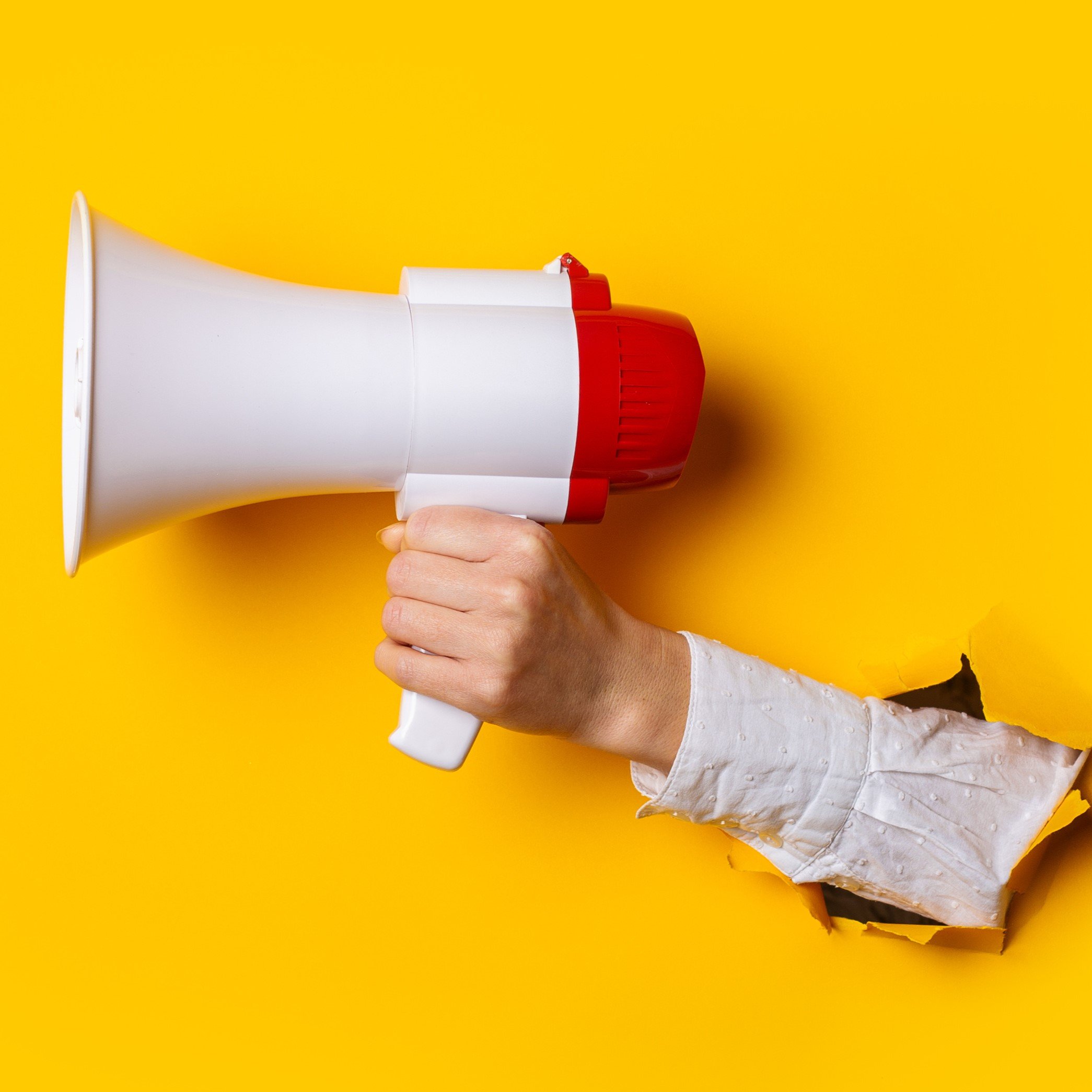 Guidelines for Prevention of Misleading Advertisements and Endorsements for Misleading Advertisements, 2022