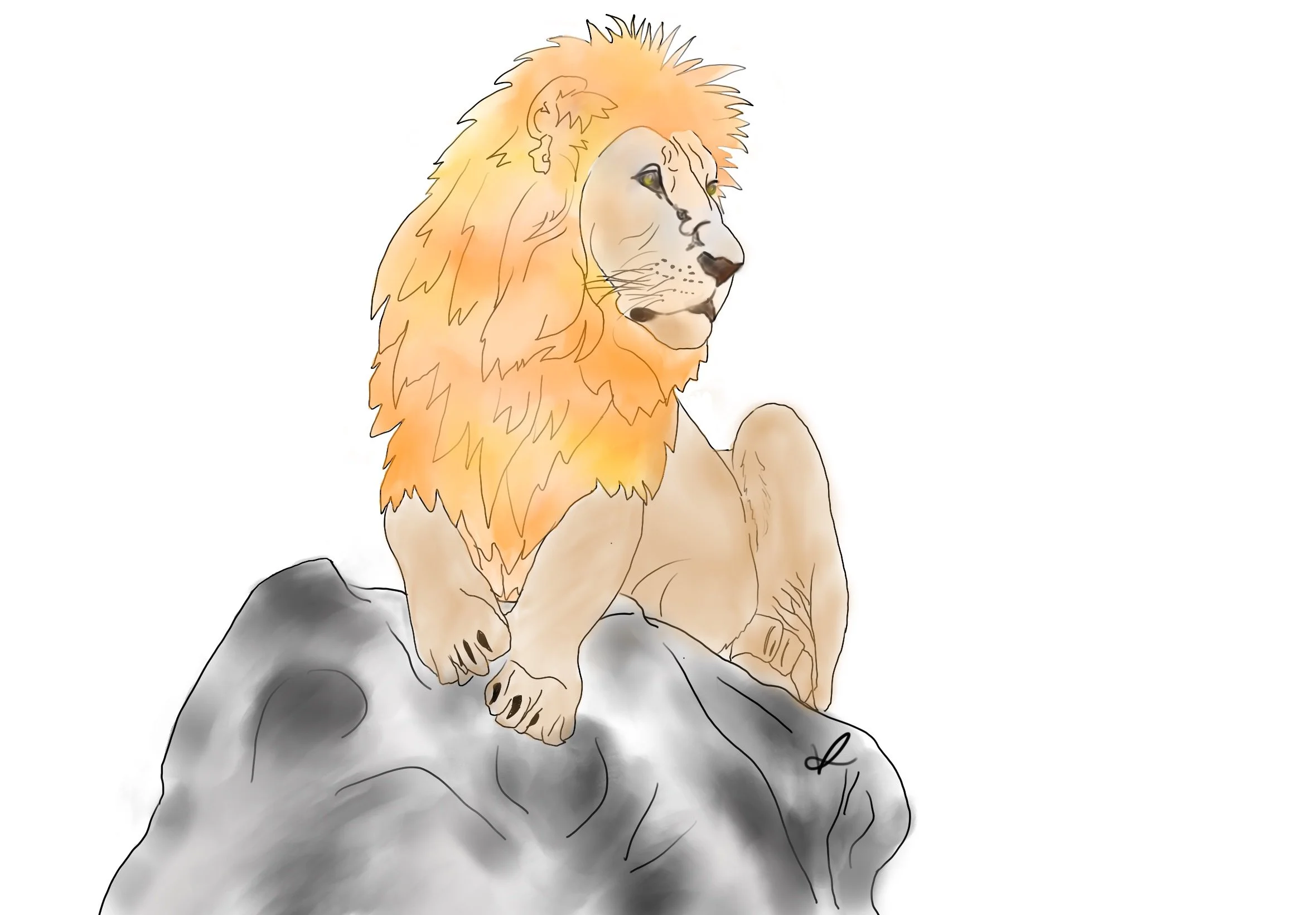 Lion - 2025