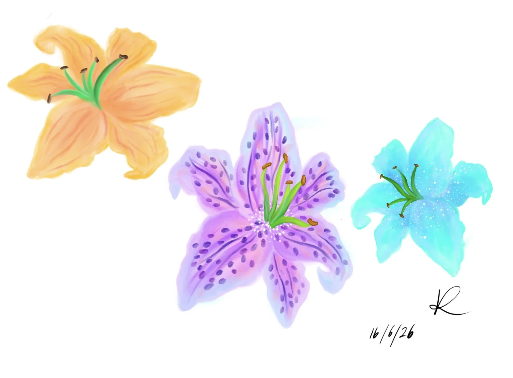 Trio of Lillies -2026