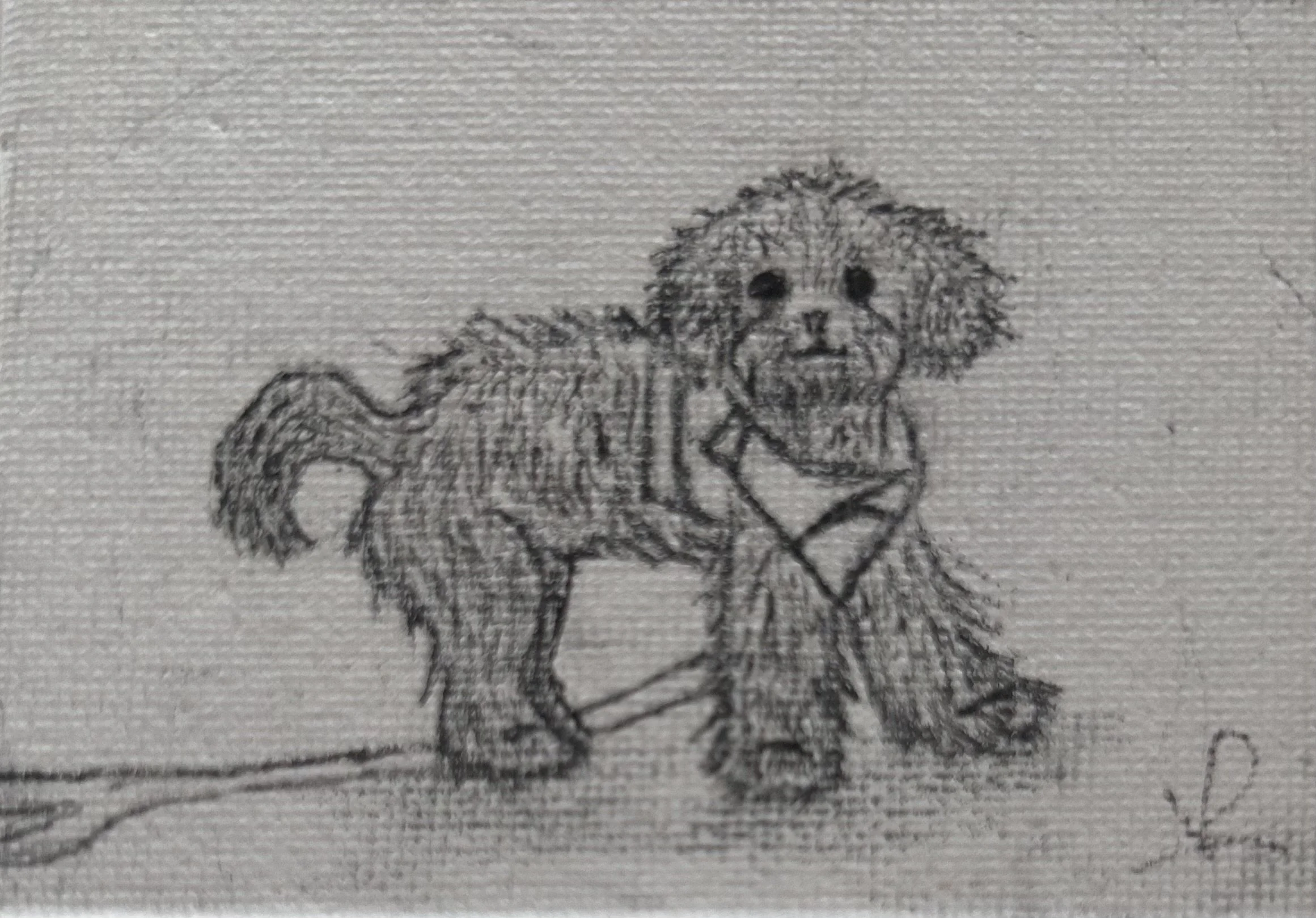 Pencil dog 3 - Pencil on canvas - 2025