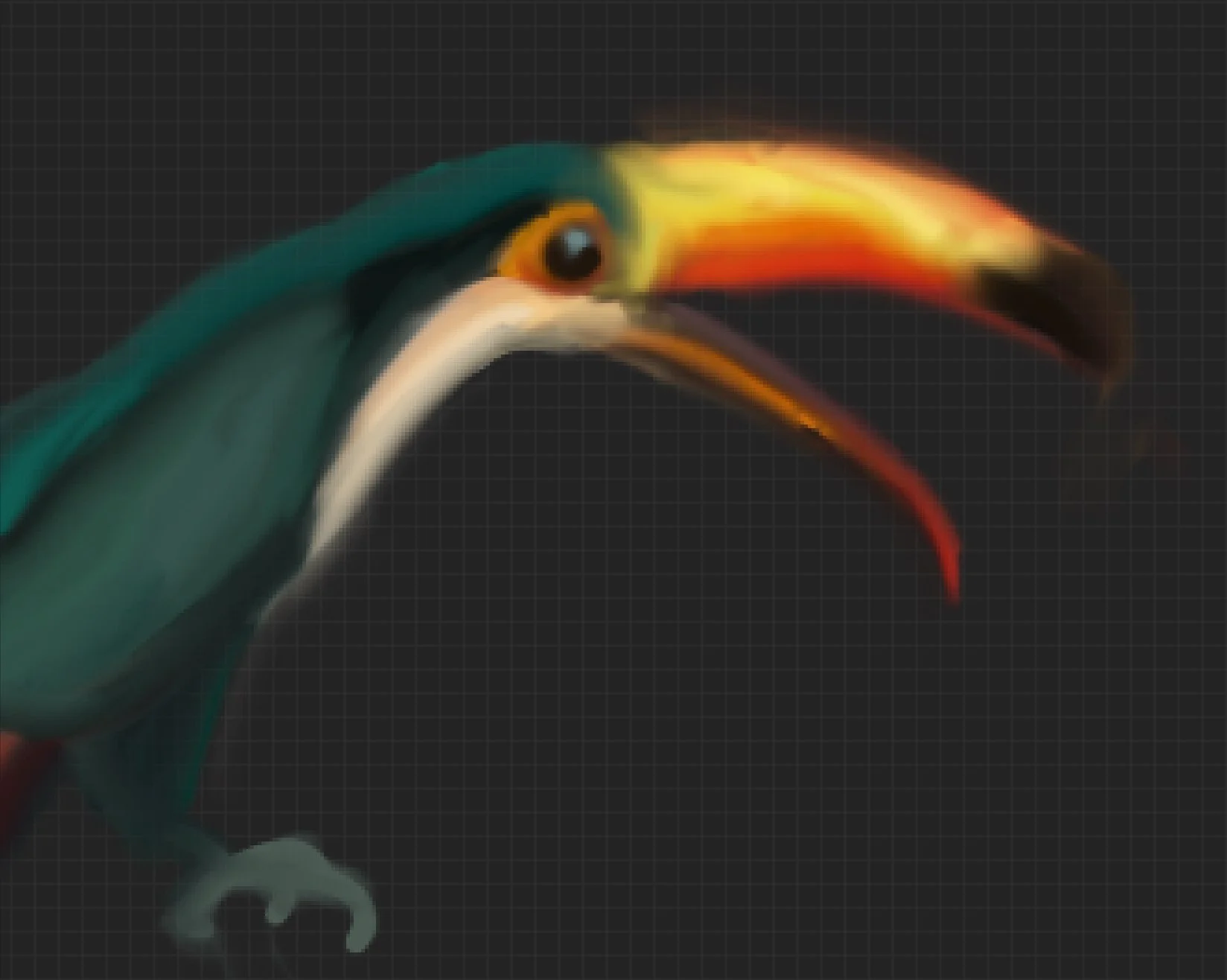 Colourful Canopy Toucan - 2019
