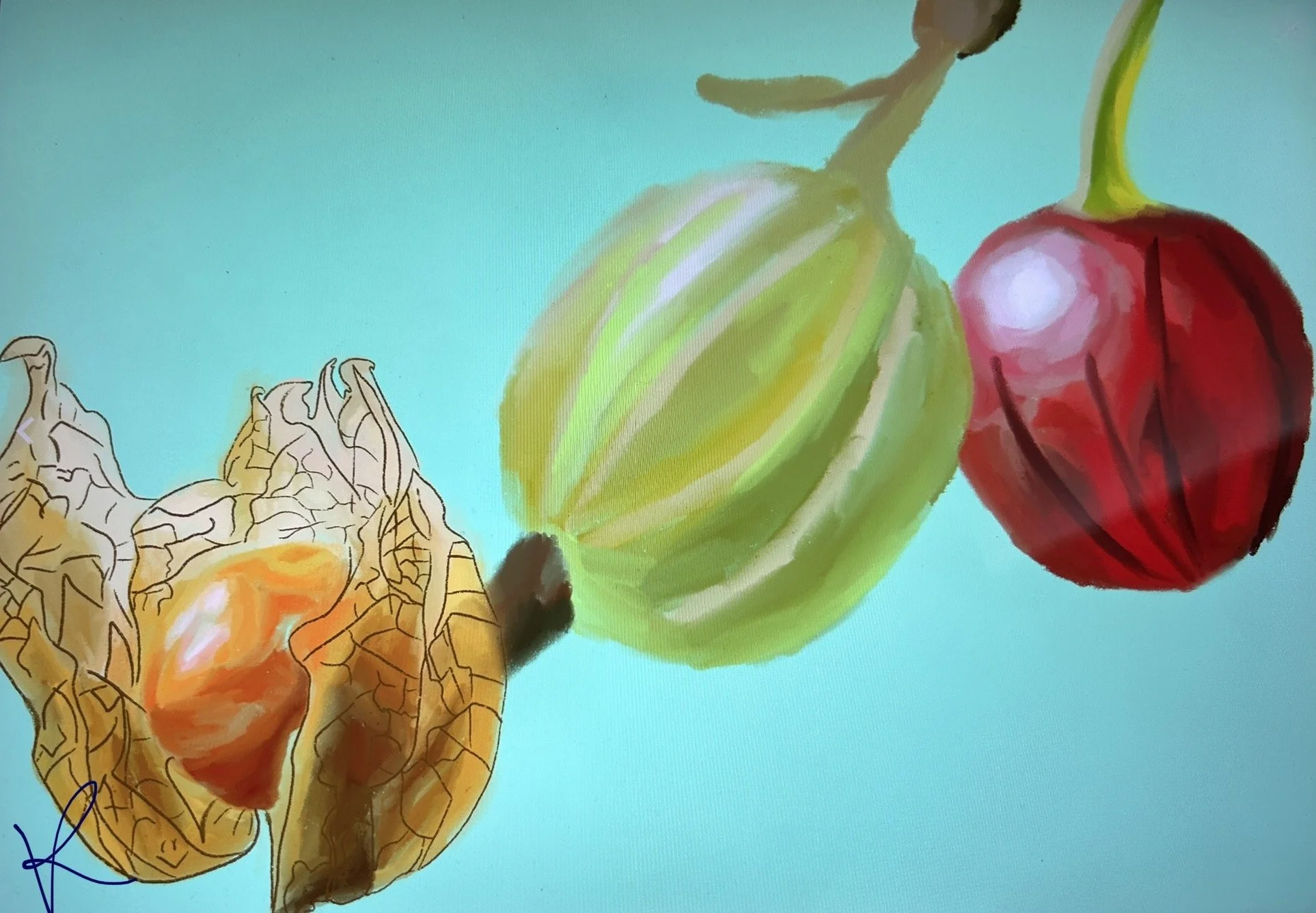 Fresh Fruit - 2024