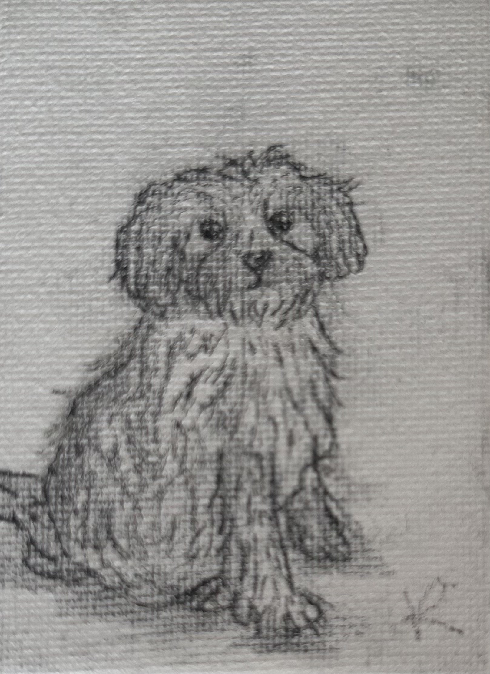 Pencil dog 2 - Pencil on canvas - 2025