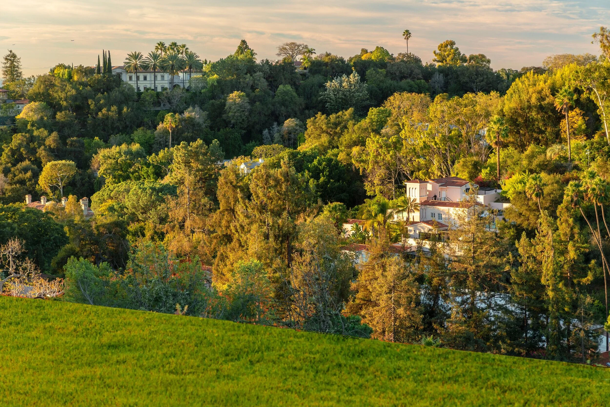 ParkBelAir_02.jpg