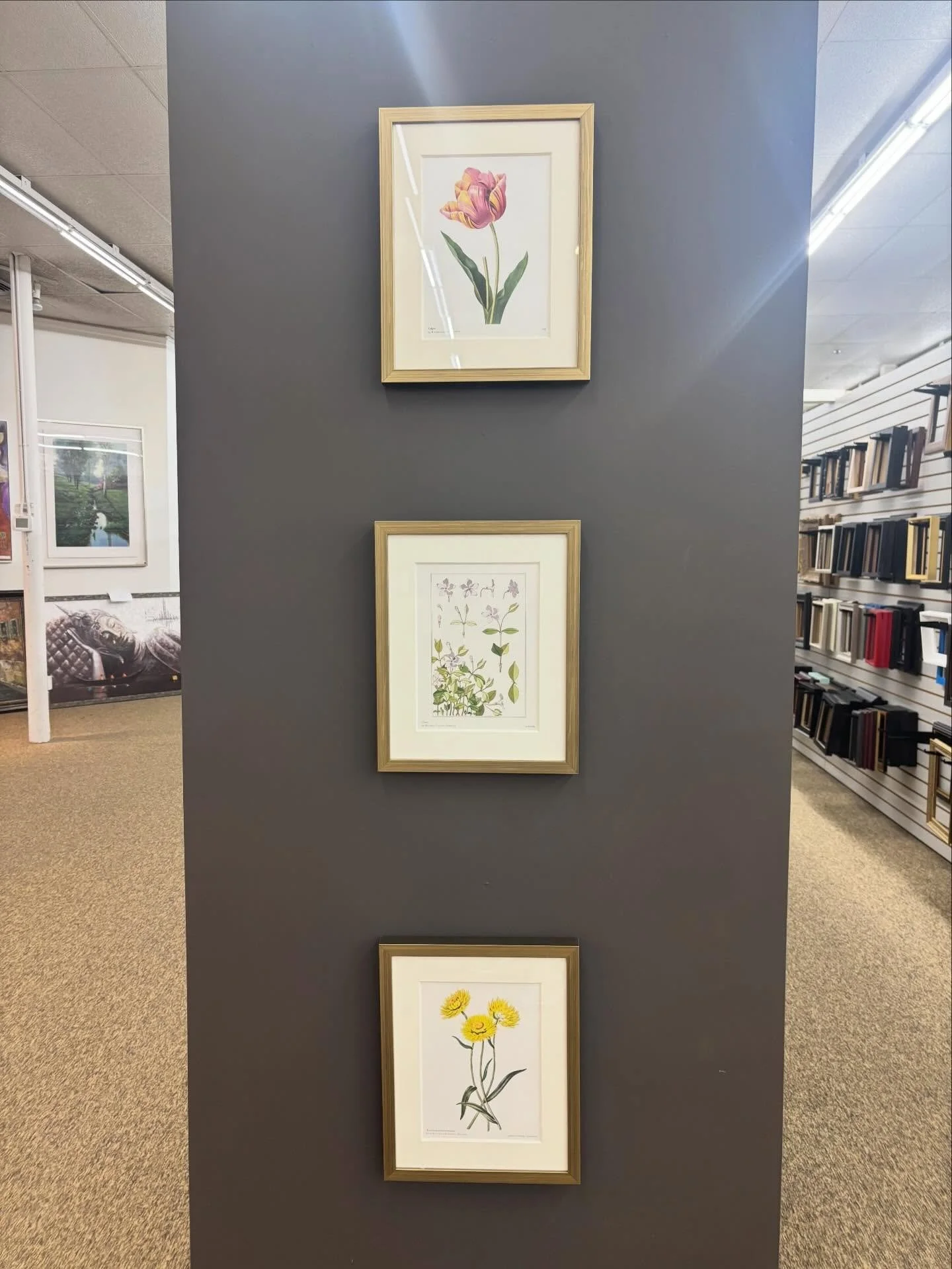 Spring is officially here!! Whether you&rsquo;re celebrating Easter next weekend or are trying to avoid the pollen, we know you need these gorgeous floral pieces in your life!

#framedart #florals #uniqueart #timeless #thompsonsframe