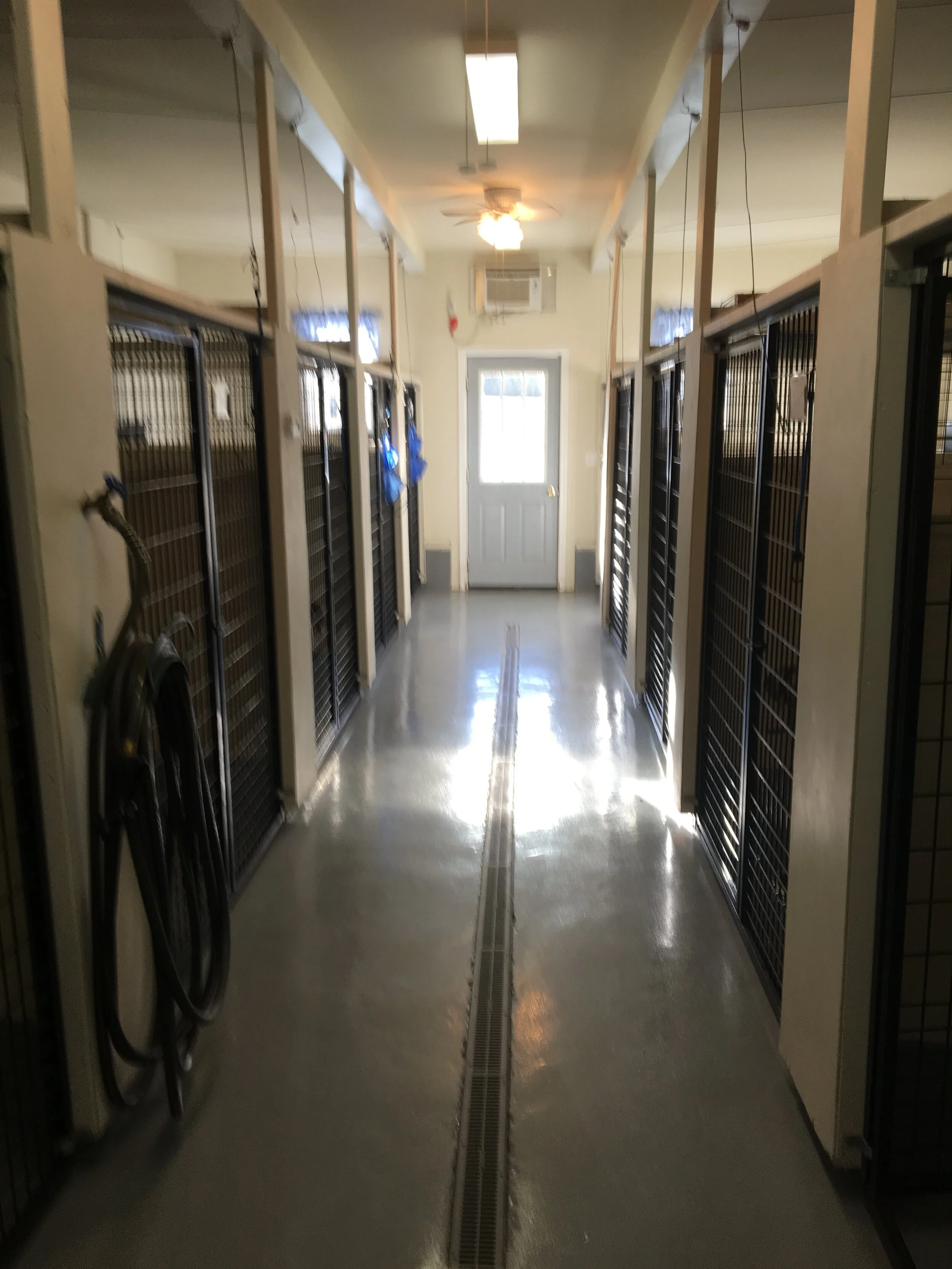 General 2 — Country Canine Kennels, LLC