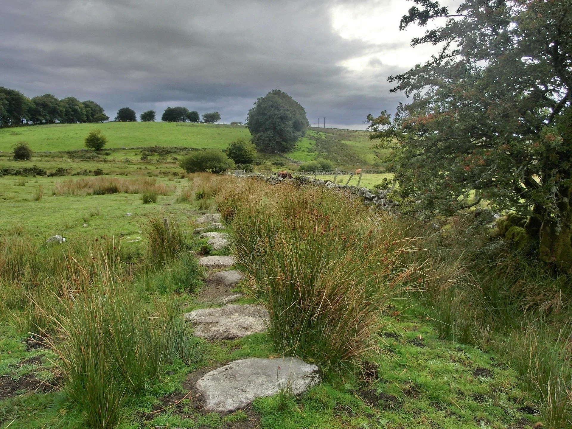 alice_alphabet-dartmoor-200587_1920.jpg