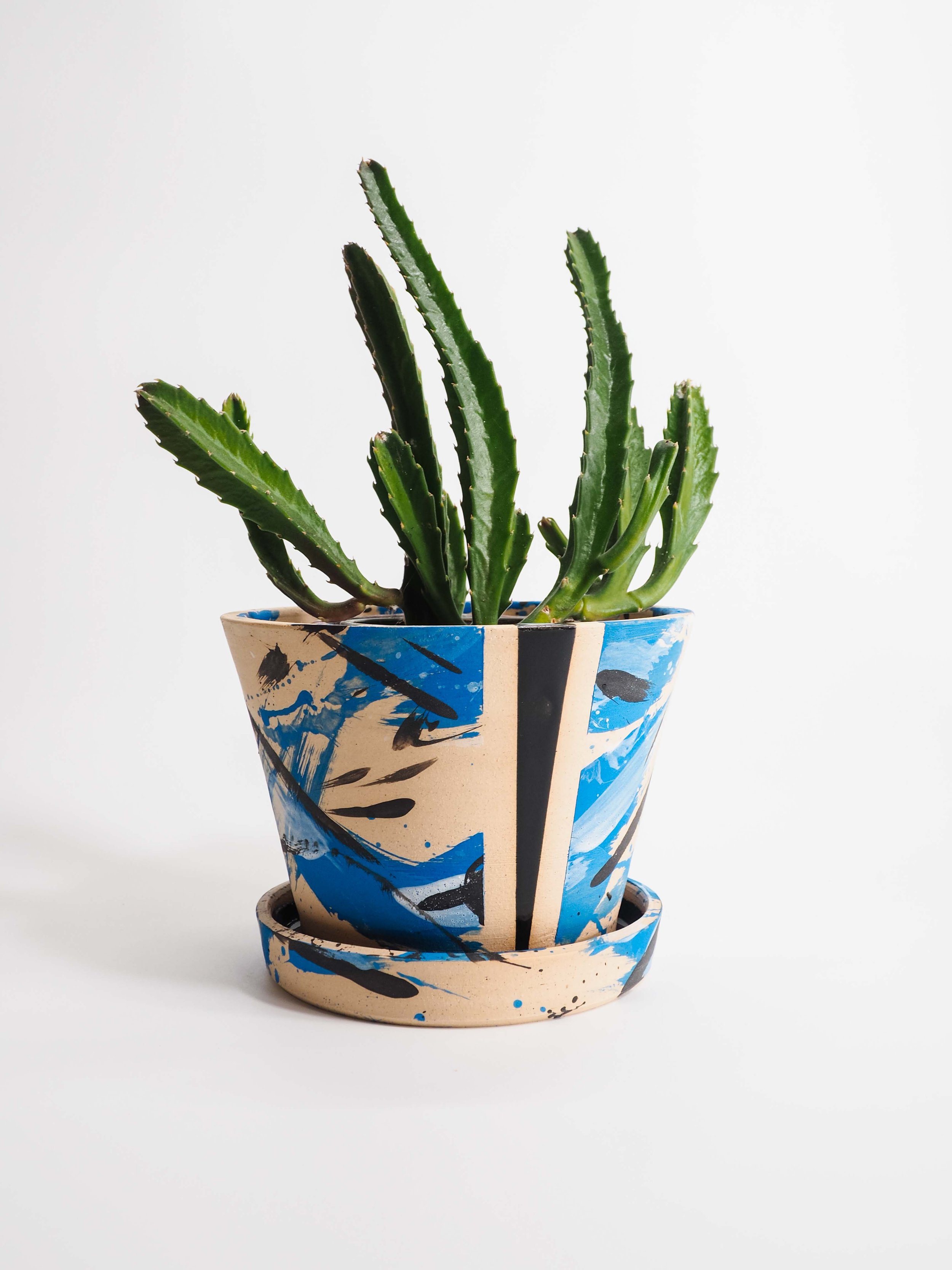 handmade_pottery_planter_local_charlotte_NC-12.jpg