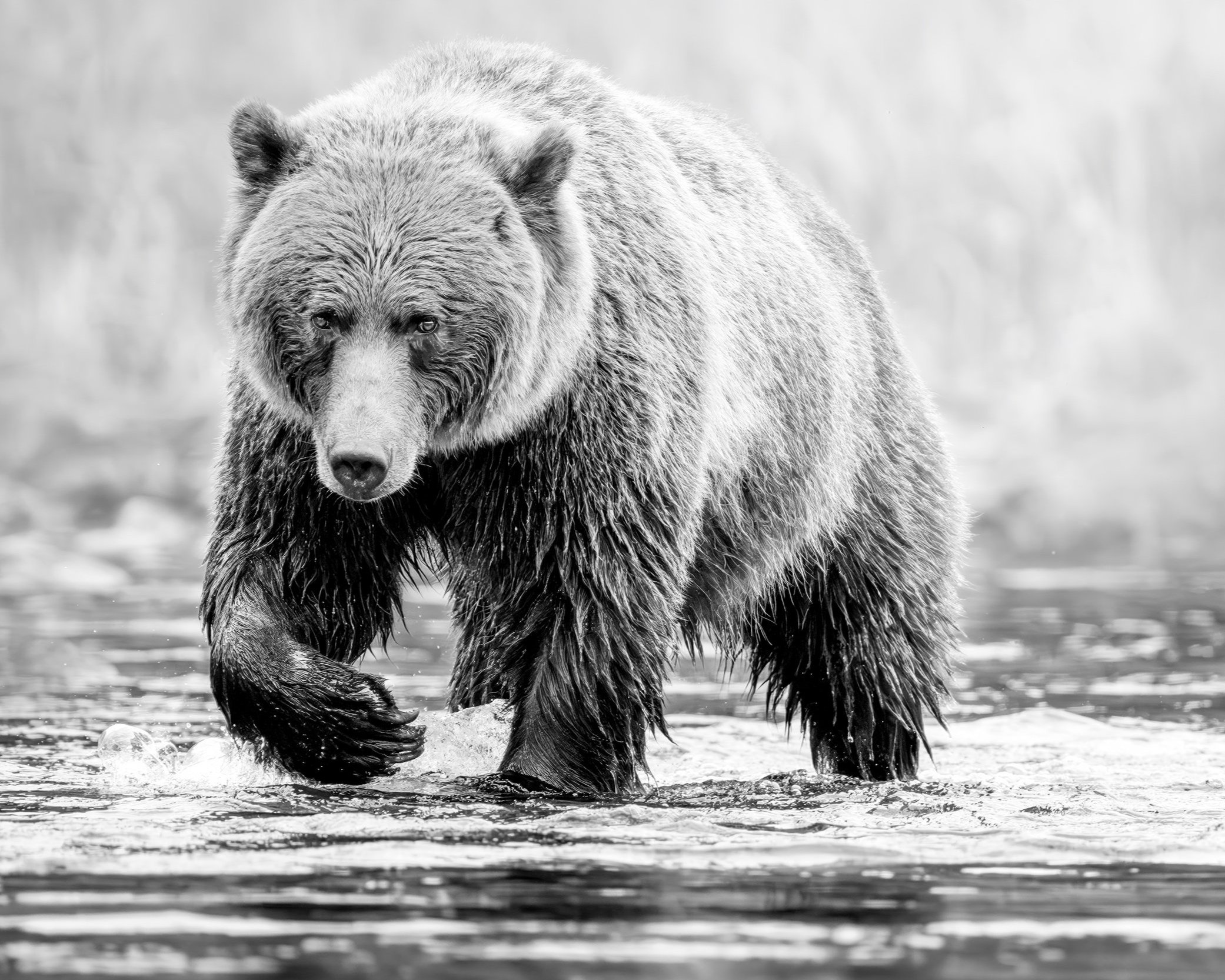 Chilko Lake | Between Us