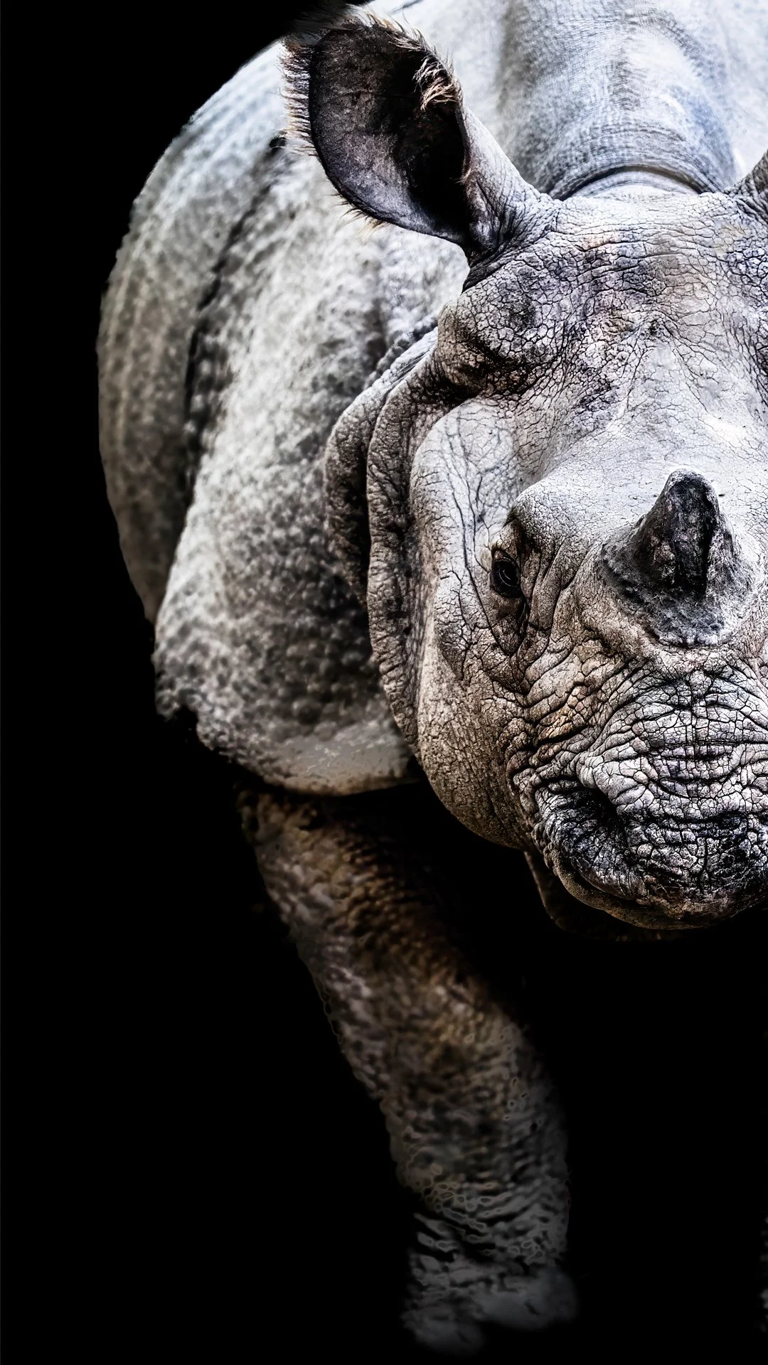 rhino mobile half .jpg