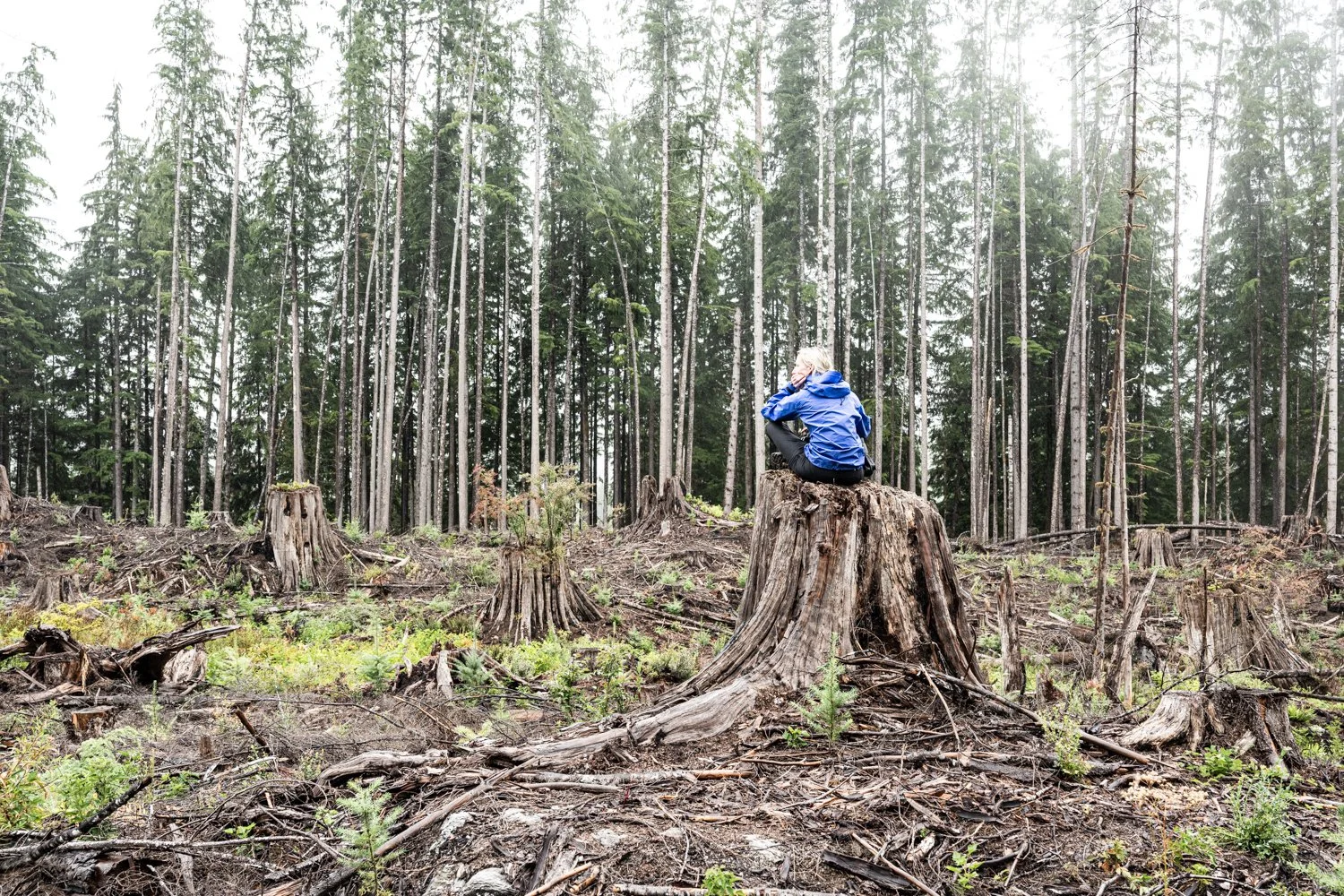 vital impacts-31.jpg